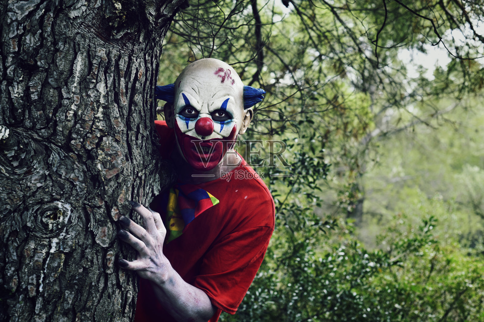 森林里可怕的邪恶小丑照片摄影图片