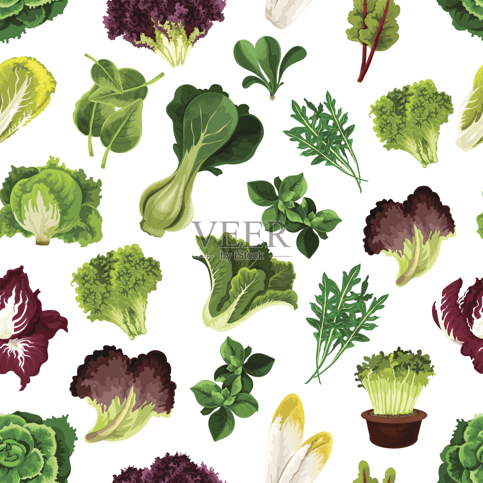沙拉蔬菜和绿叶蔬菜图案插画图片素材