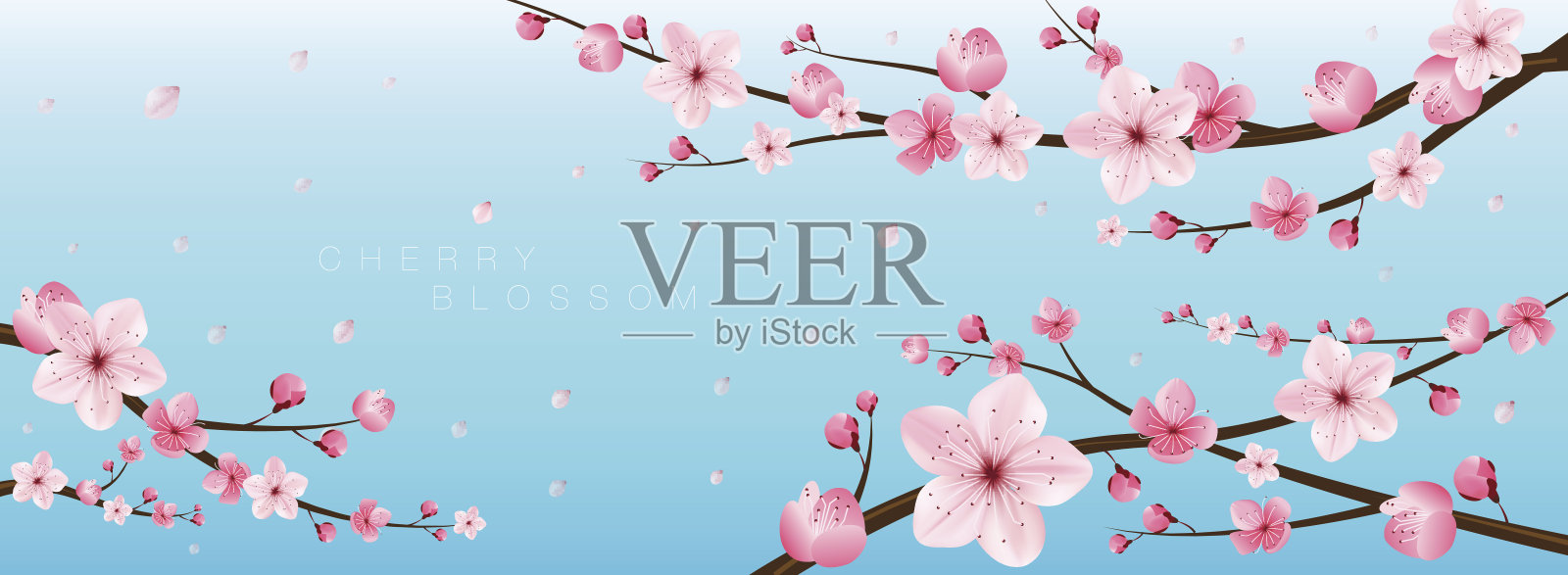 樱花现实向量，樱花，日本插画图片素材