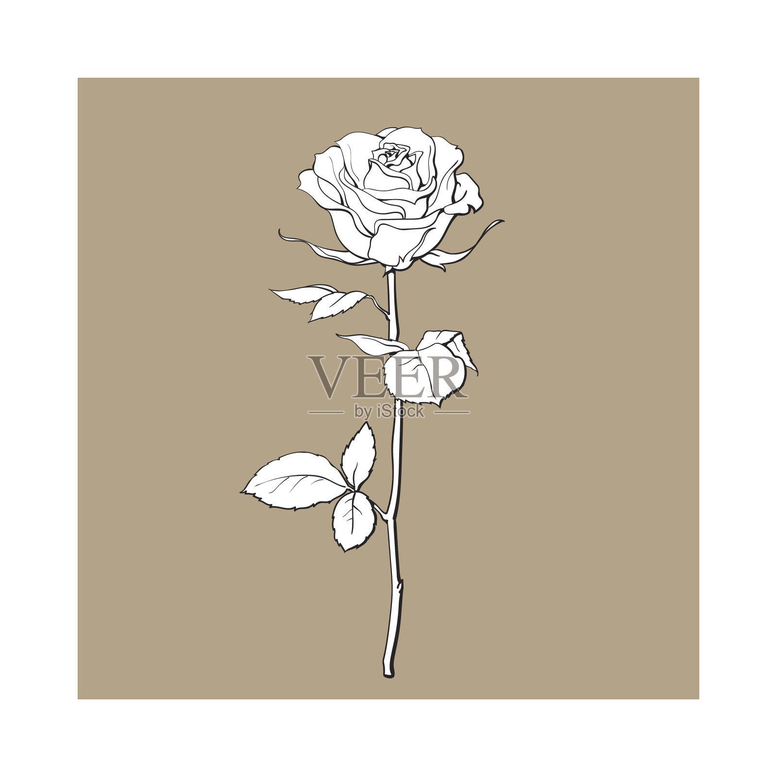 深轮廓玫瑰与绿叶，孤立矢量插图插画图片素材
