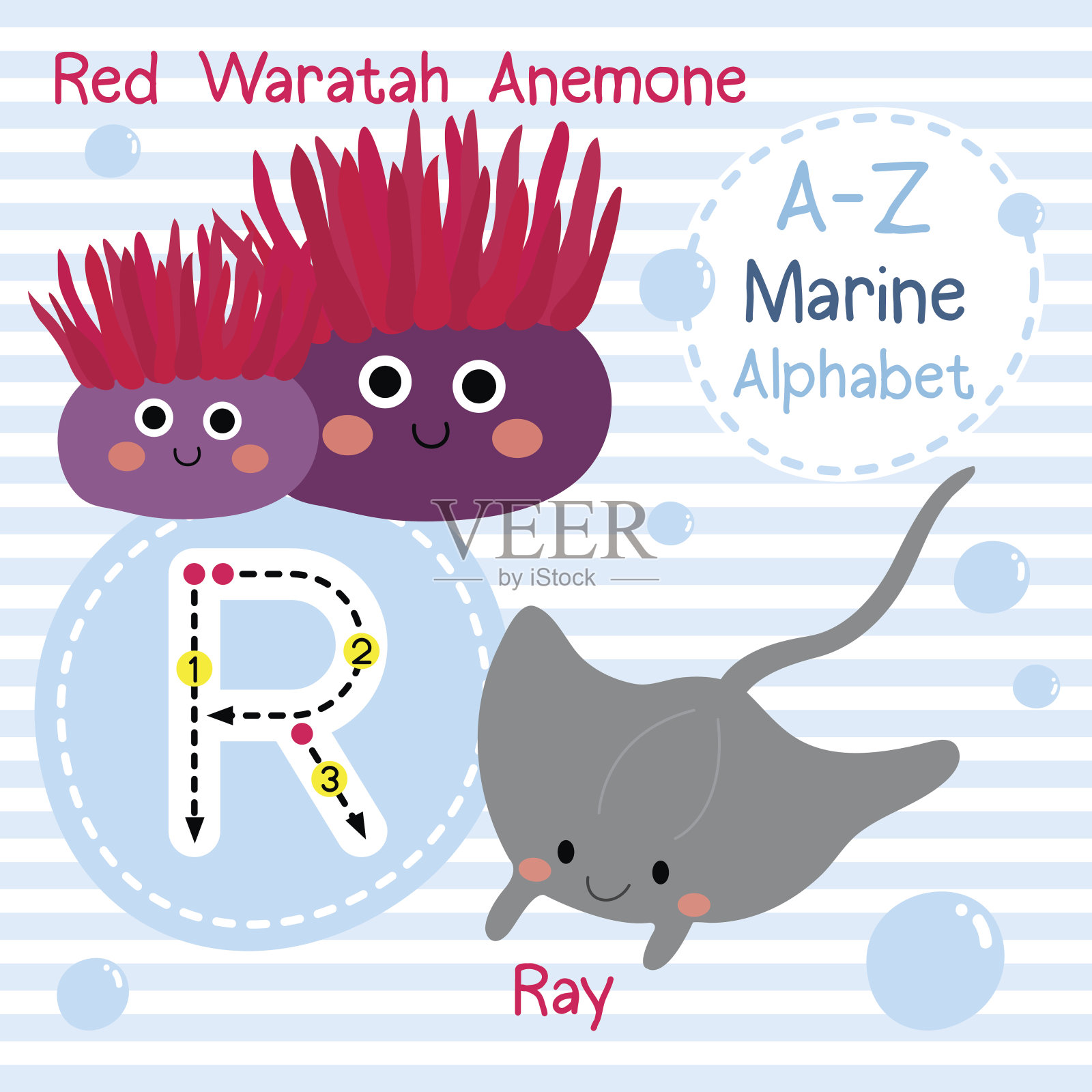 字母R跟踪。红色的特洛皮海葵。射线。海洋字母表。插画图片素材