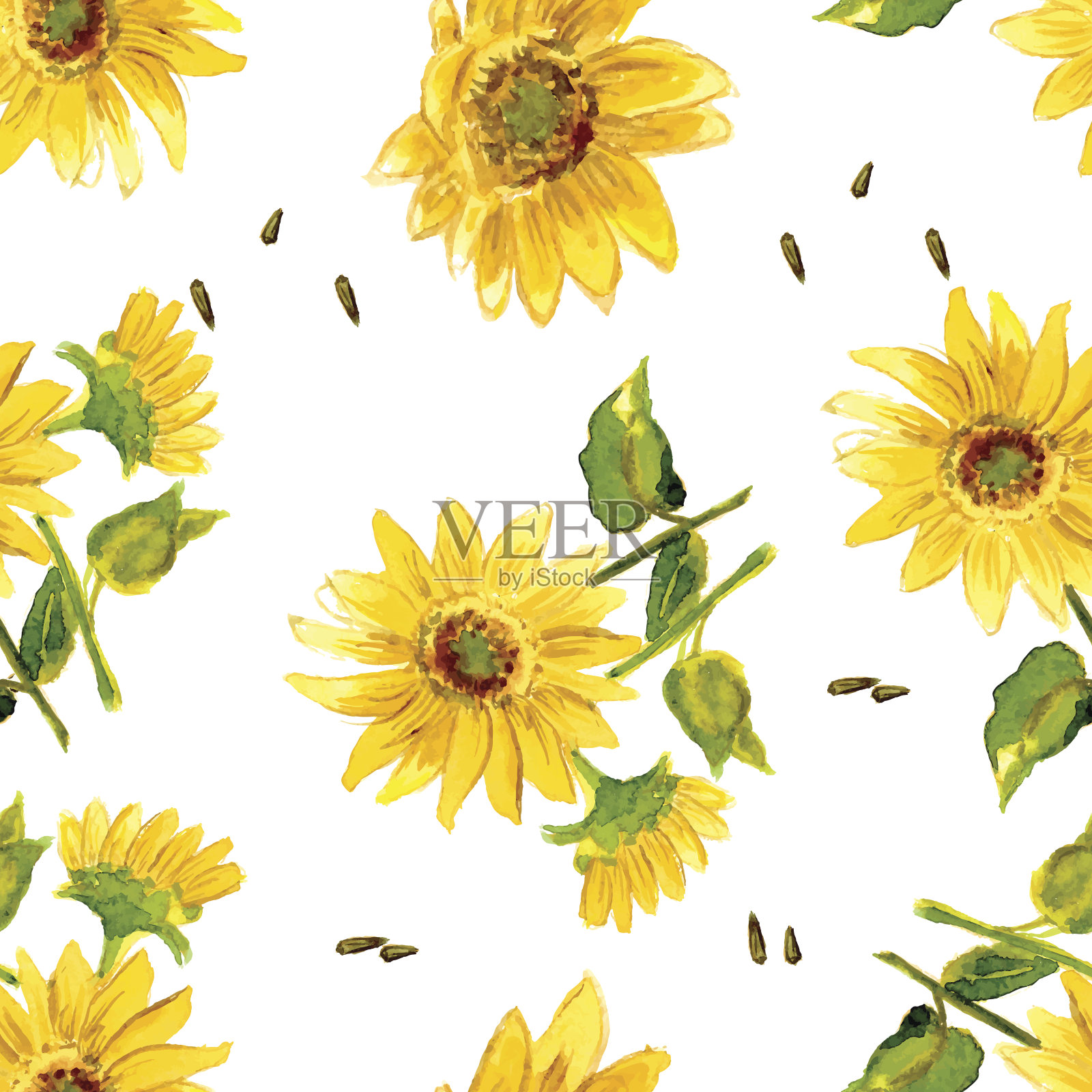 《黄色向日葵的组成》插画图片素材