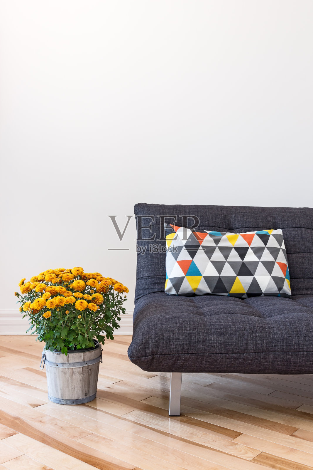 橙色菊花和亮色靠垫的沙发照片摄影图片