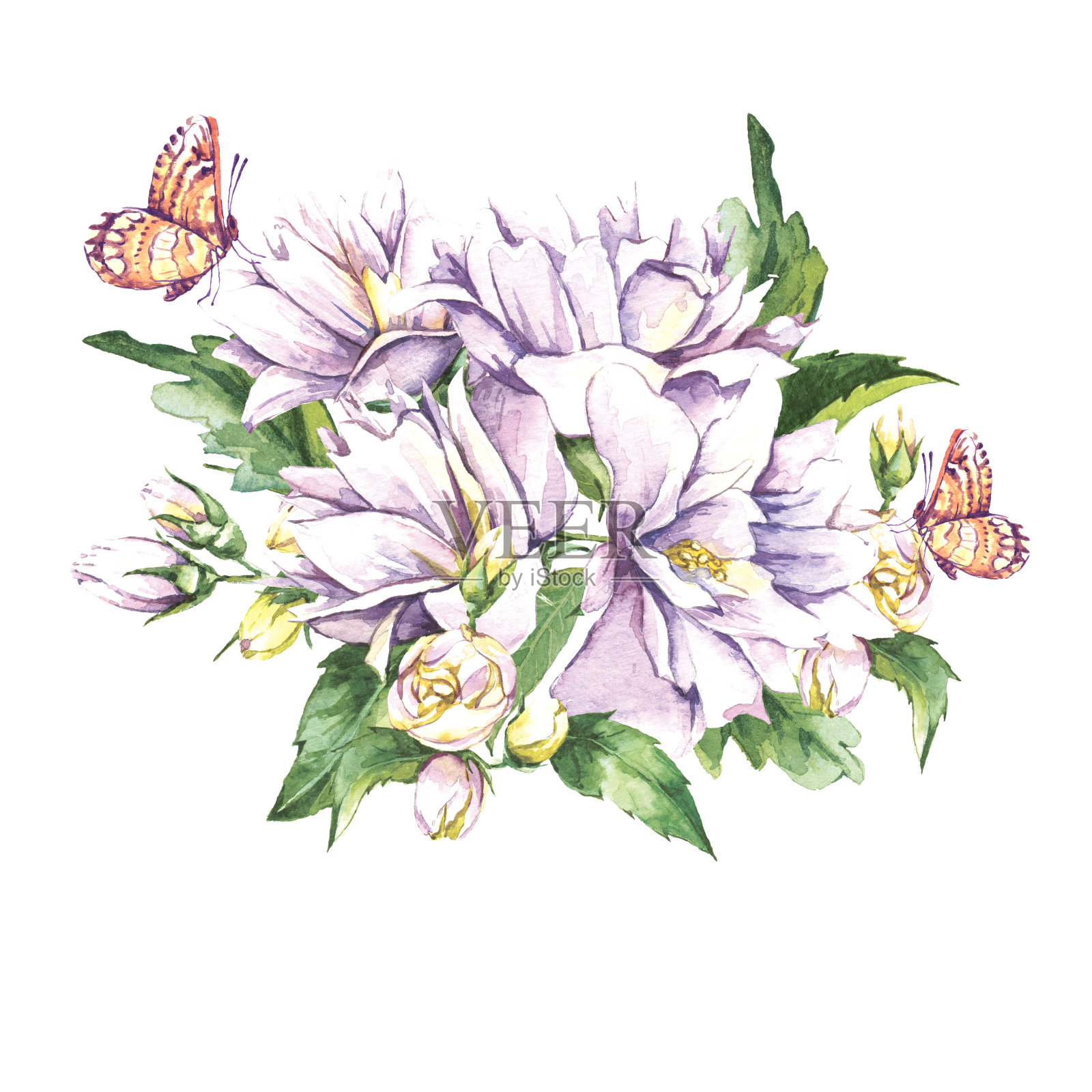 花束与盛开的茉莉插画图片素材