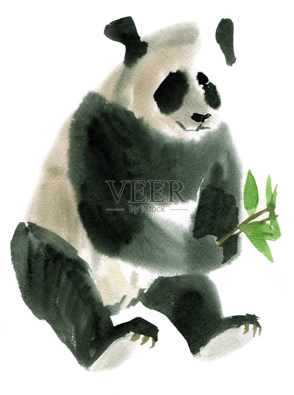 熊猫的水彩画插画图片素材
