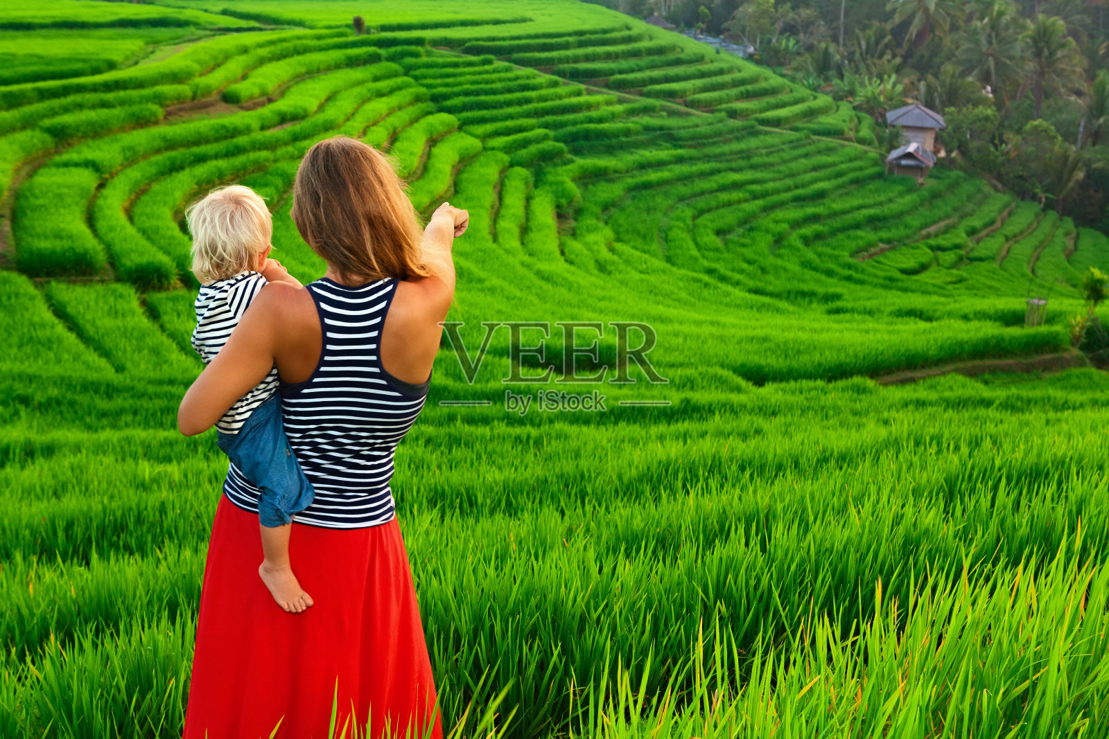 母亲带着孩子走在绿色的稻田上。巴厘岛照片摄影图片