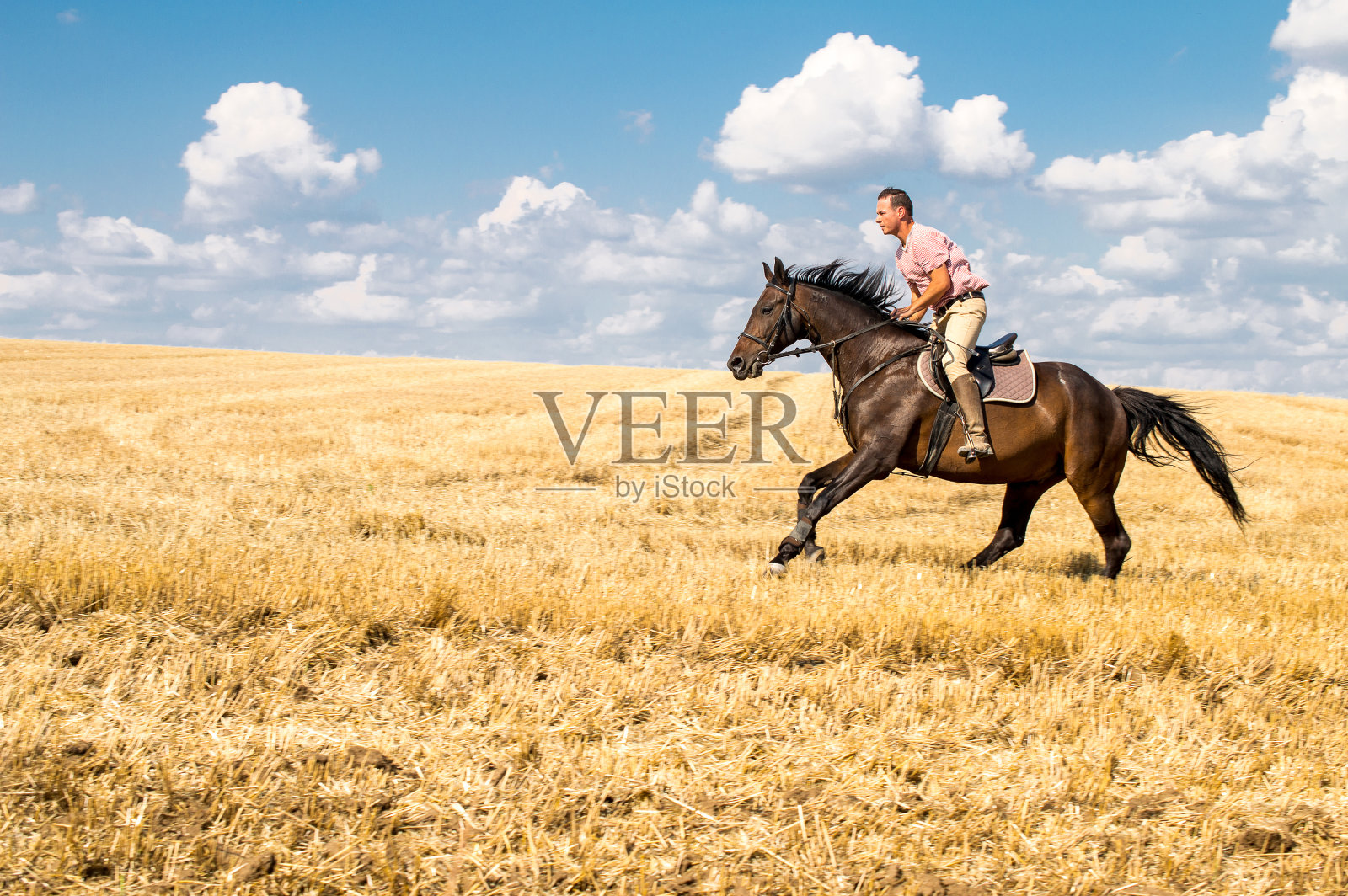 人在田野上骑马——自由和幸福照片摄影图片