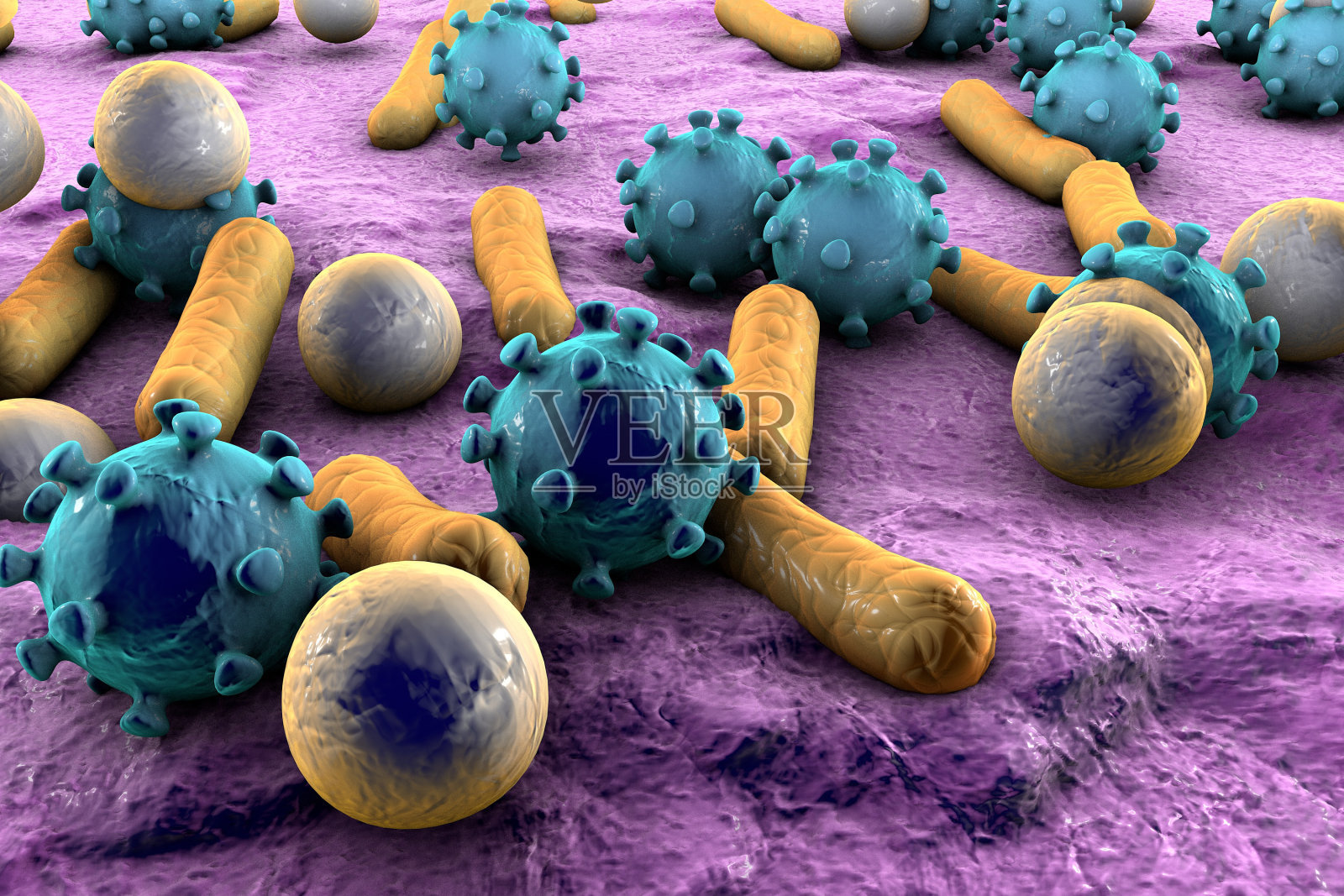 细菌和病毒图解照片摄影图片