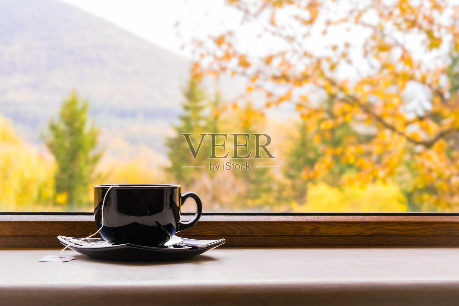 在秋景窗前喝杯茶。照片摄影图片