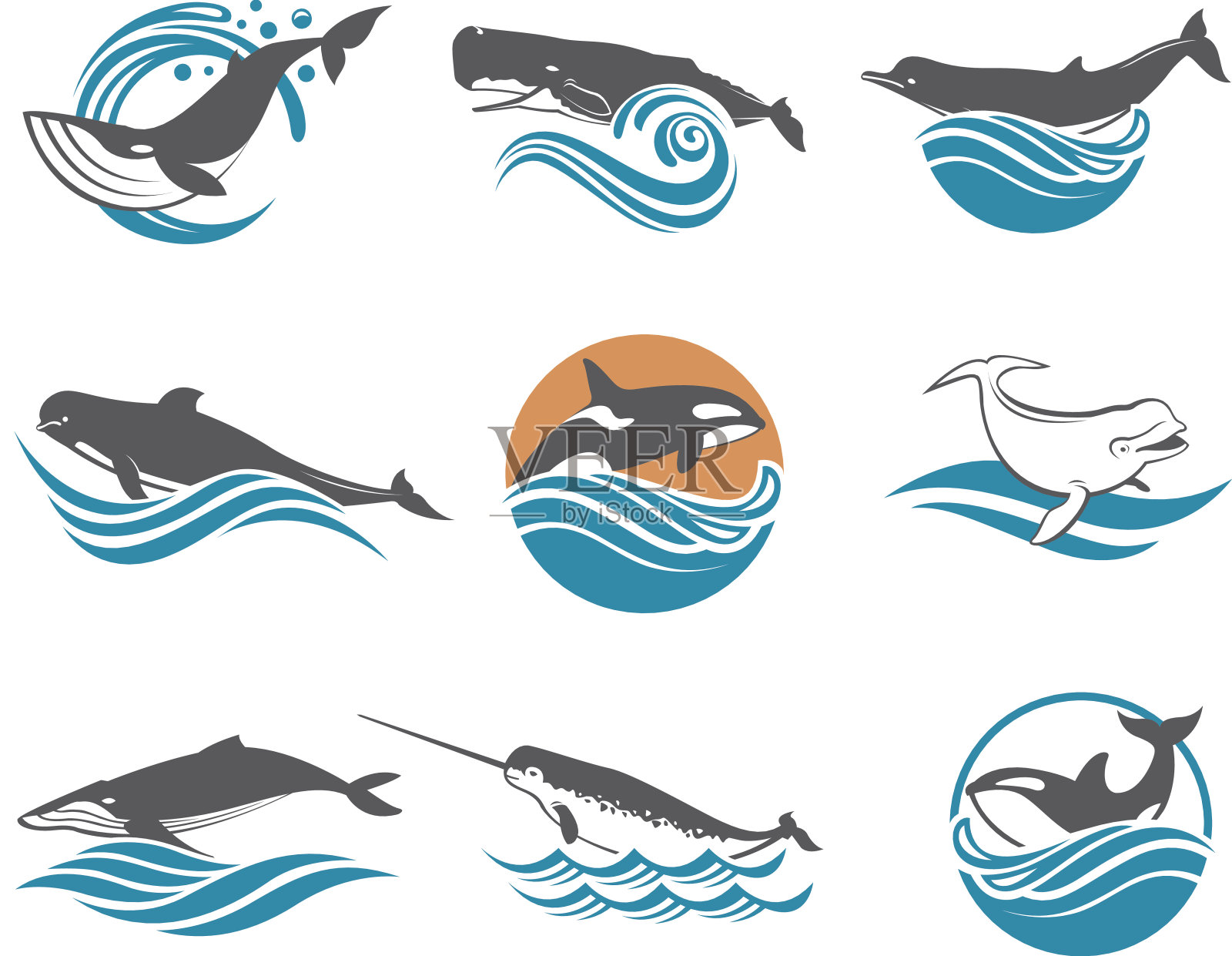 各种鲸群设计元素图片