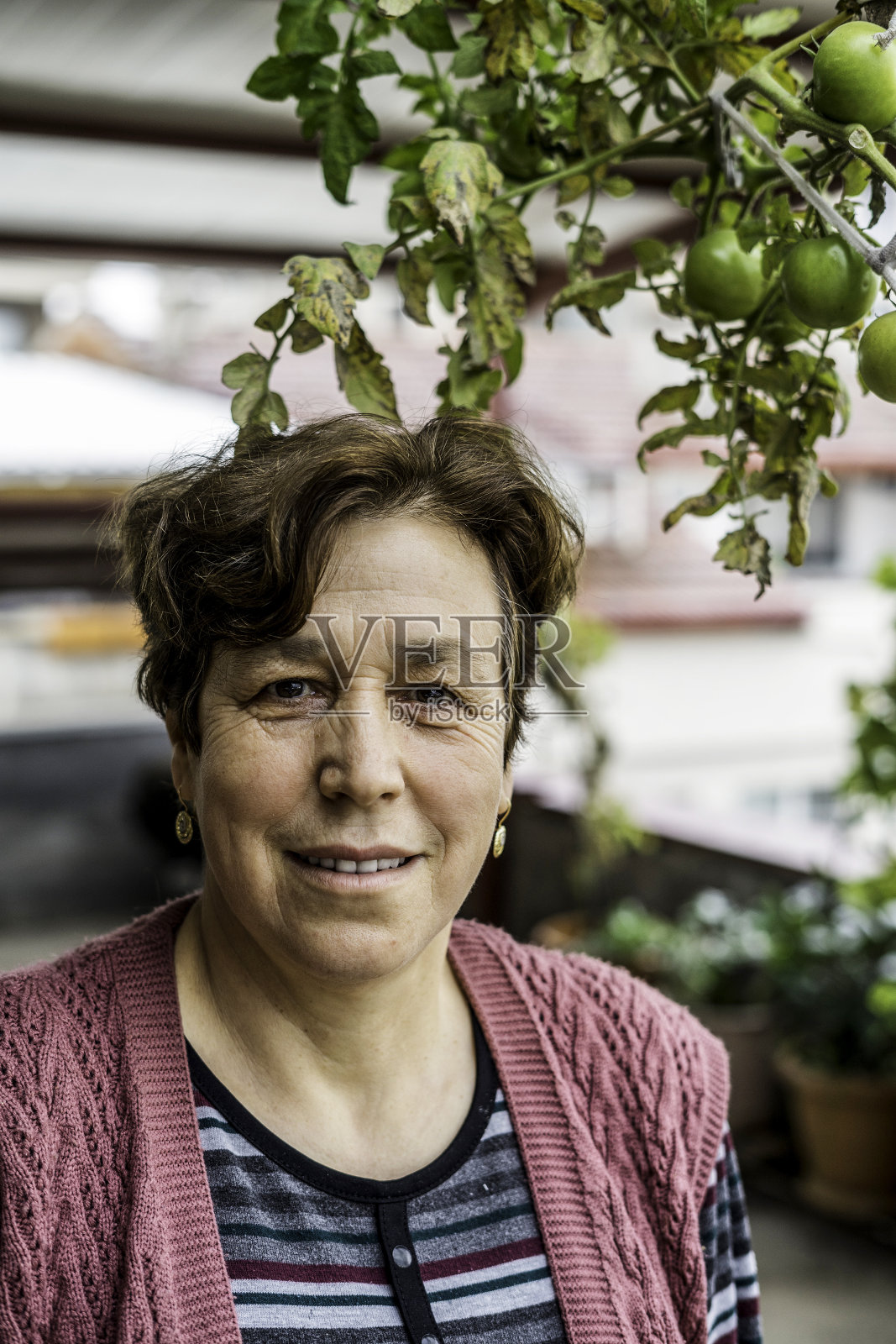 土耳其老妇人用贪婪的西红柿画像照片摄影图片