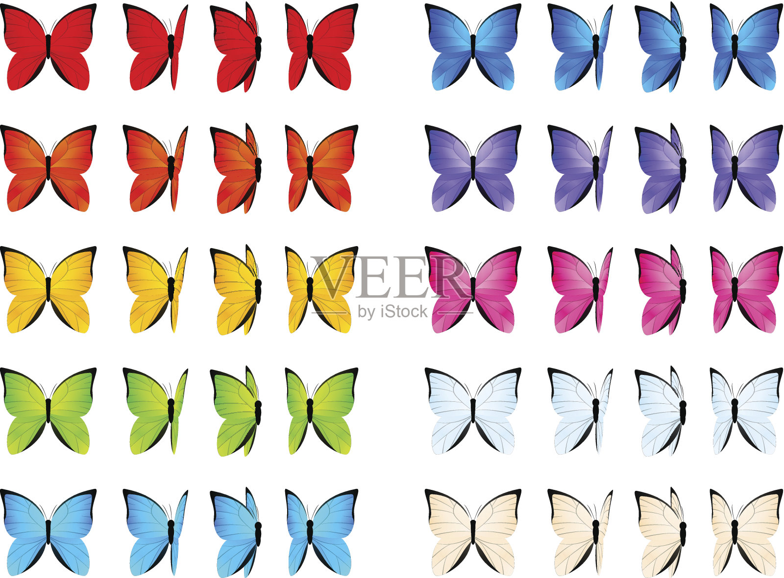 一组彩色蝴蝶孤立在白色上设计元素图片