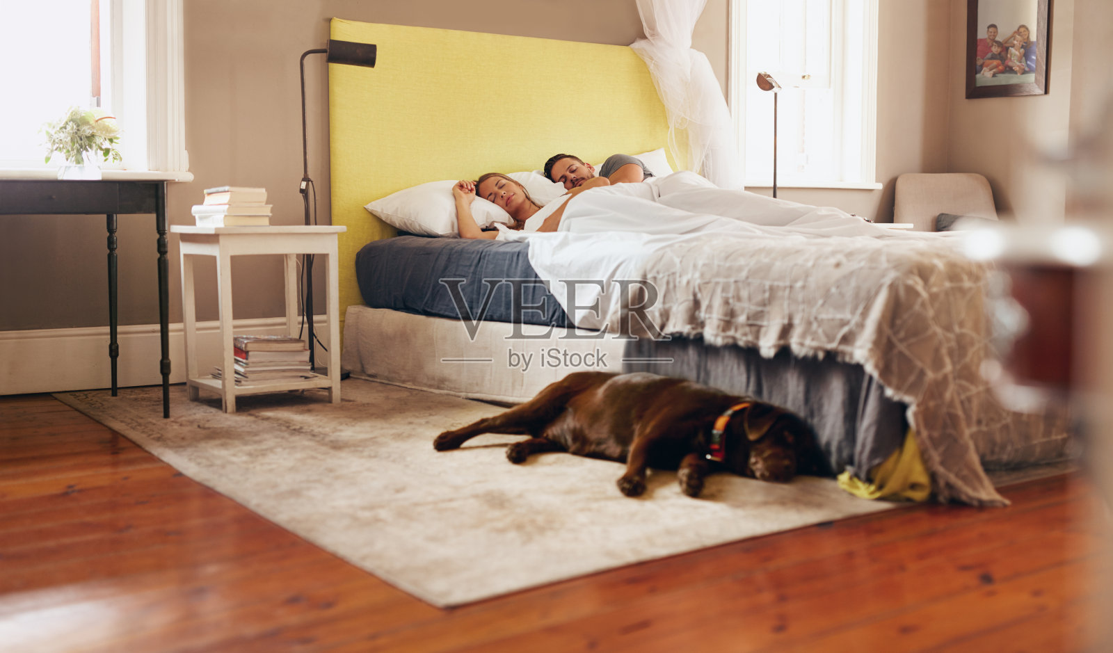 年轻夫妇舒适地睡在床上，狗在地板上照片摄影图片