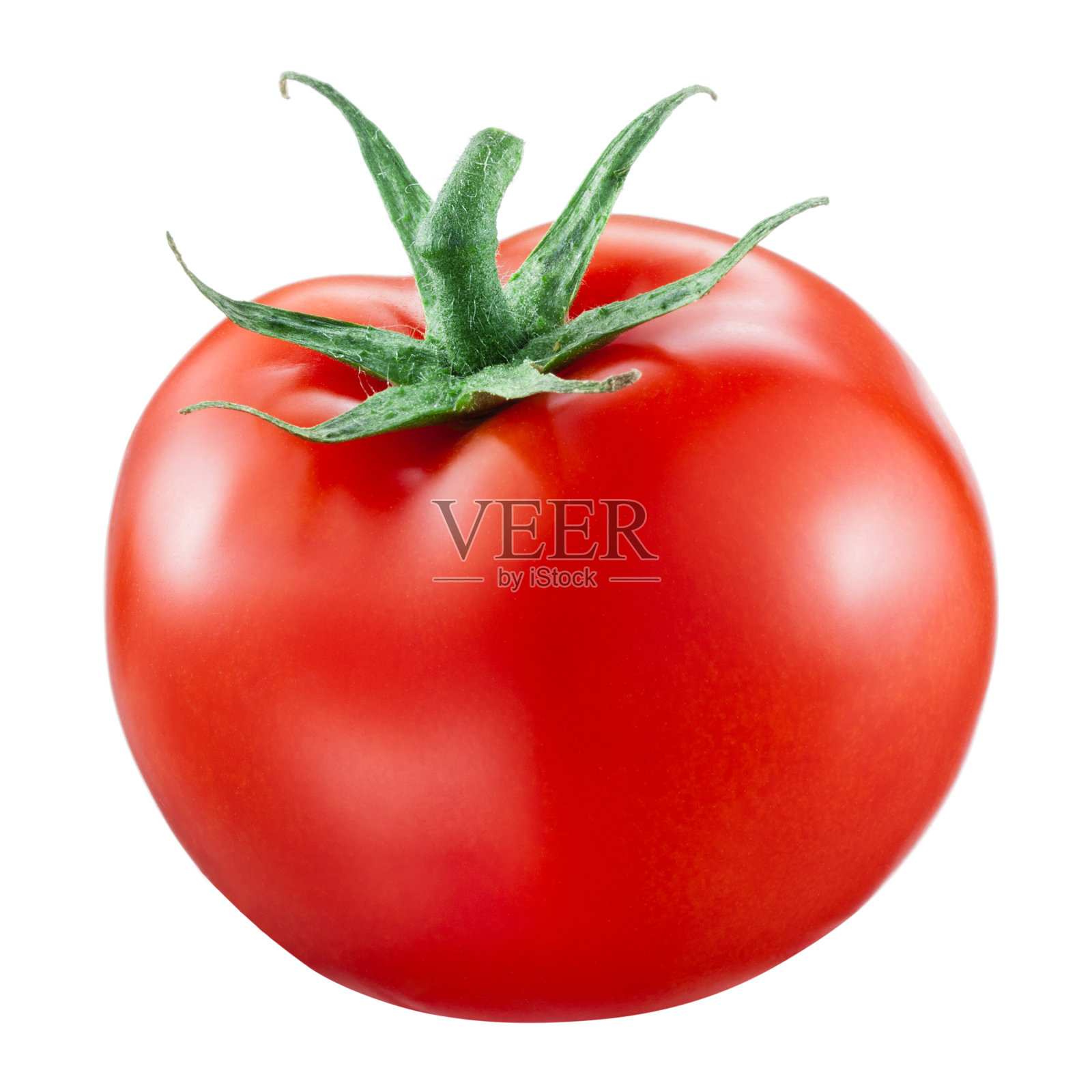 在白色背景上孤立的番茄照片摄影图片