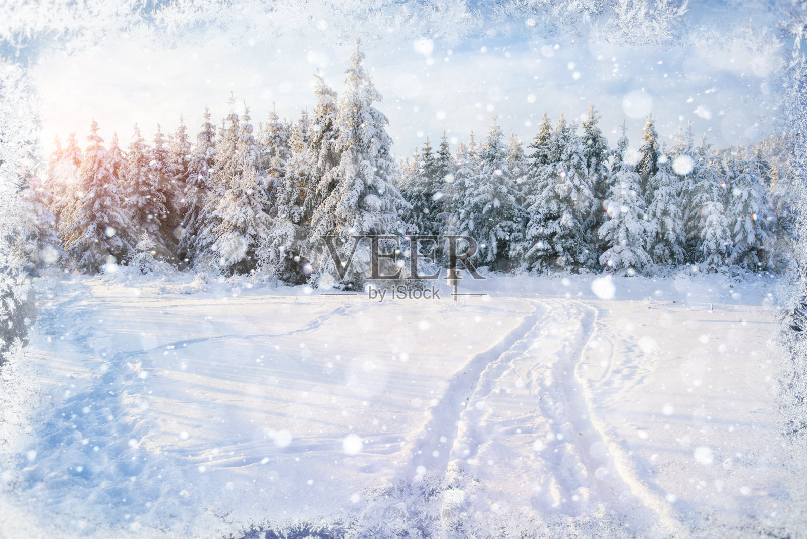 美丽的颜色高分辨率插图与假日冬季主题照片摄影图片