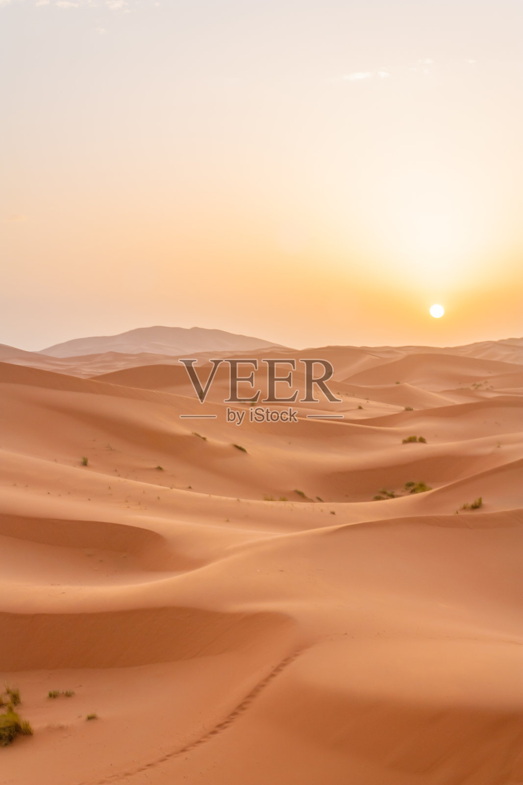 在撒哈拉沙漠日出照片摄影图片