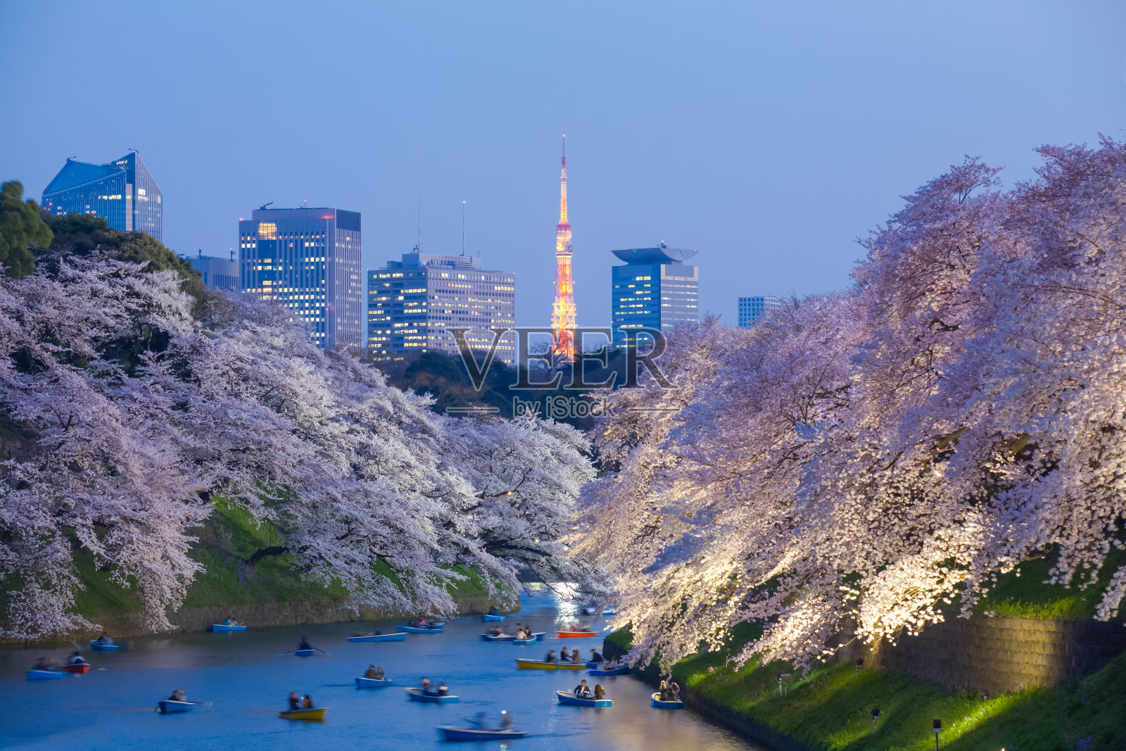 美丽的樱花和东京塔照片摄影图片