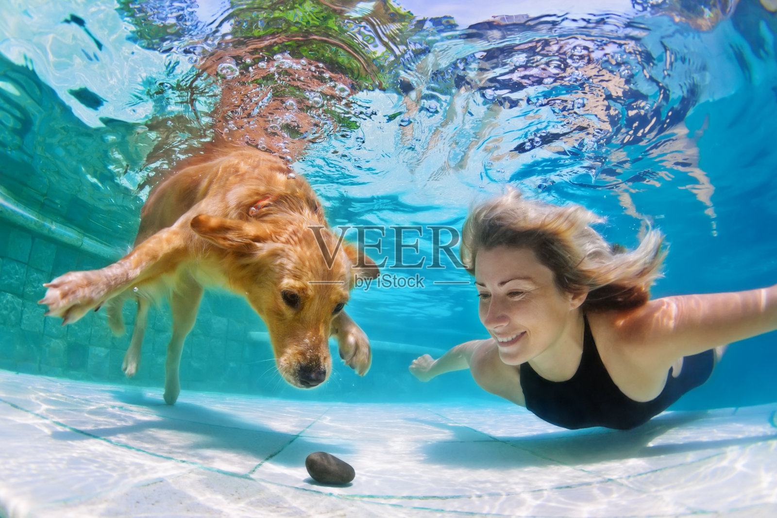 带着狗在水下游泳的女人照片摄影图片