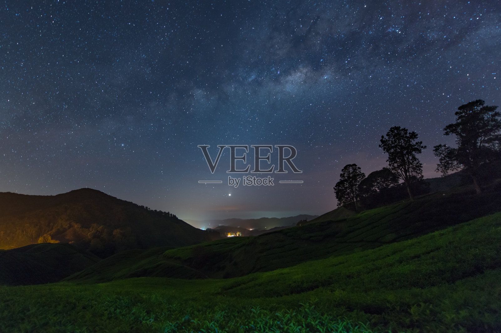 马来西亚金马伦高原的银河之星和茶园照片摄影图片