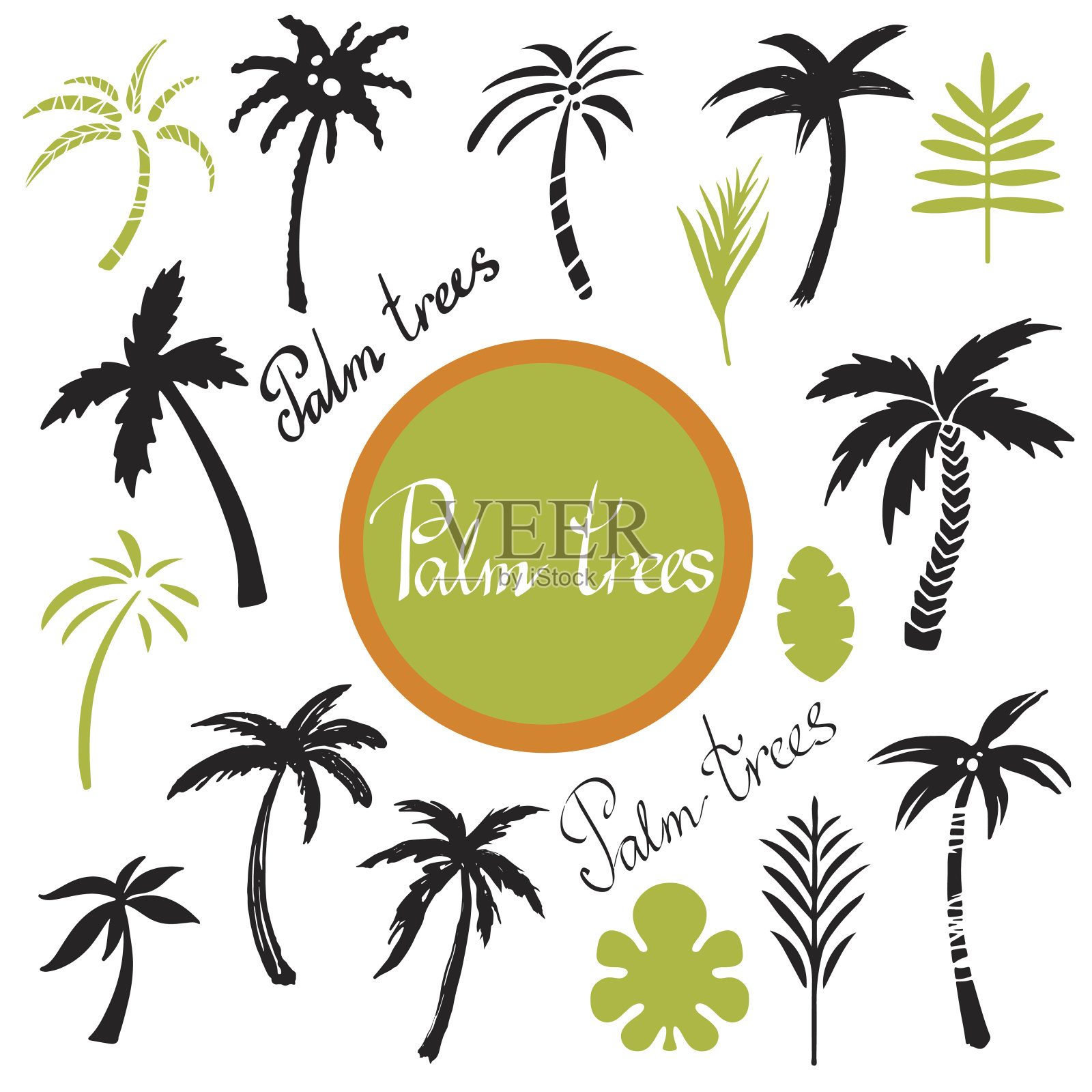 热带棕榈树和树叶设计元素图片