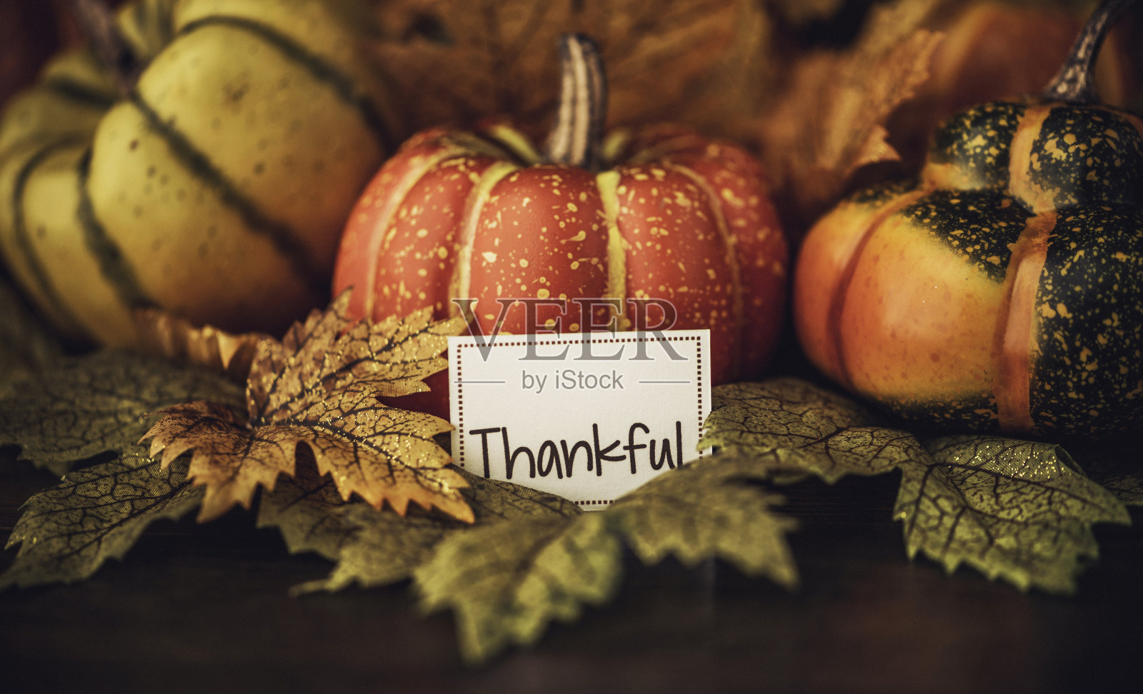 秋天的感恩节安排与感恩的信息照片摄影图片