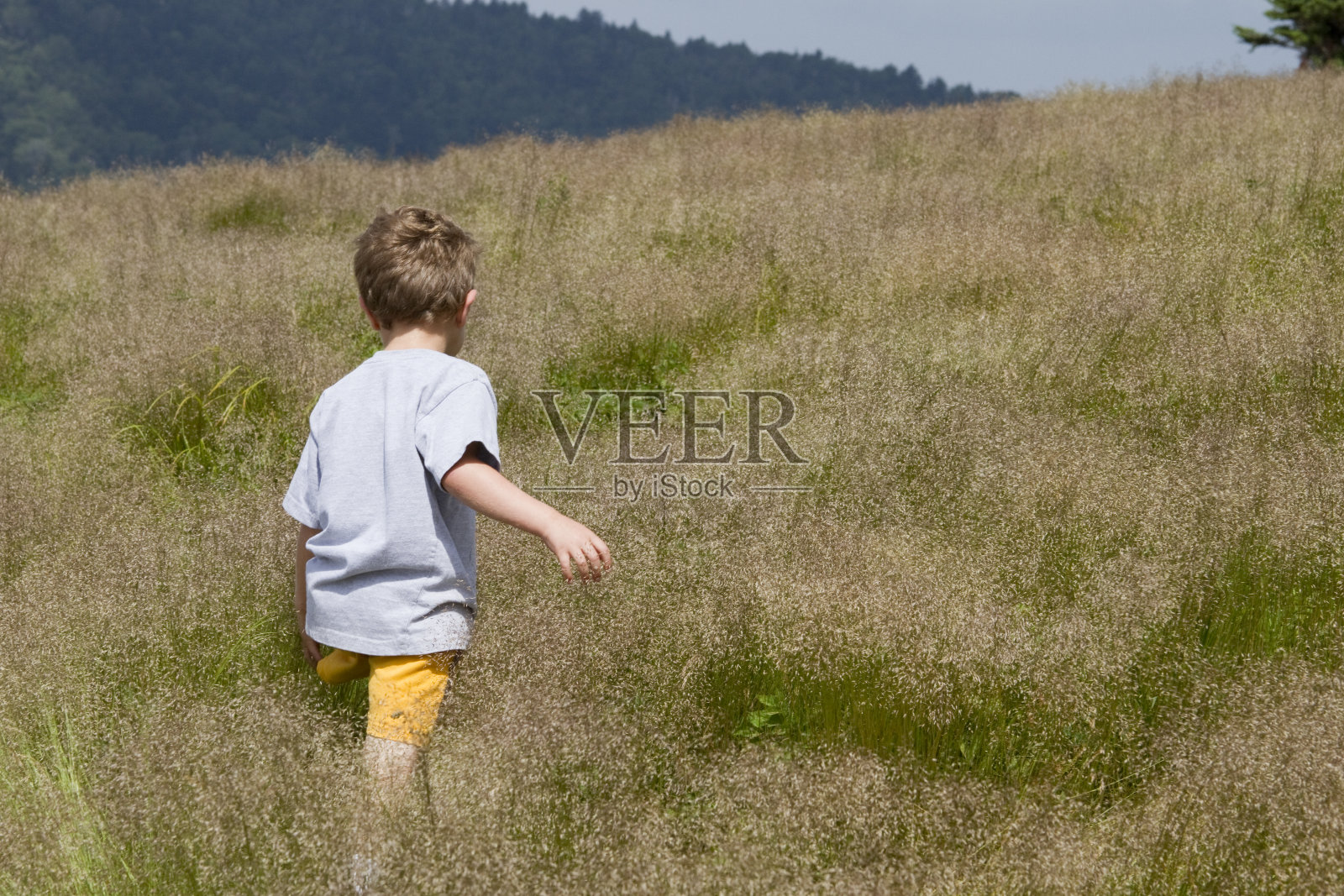 男孩走过高草的山/顶照片摄影图片