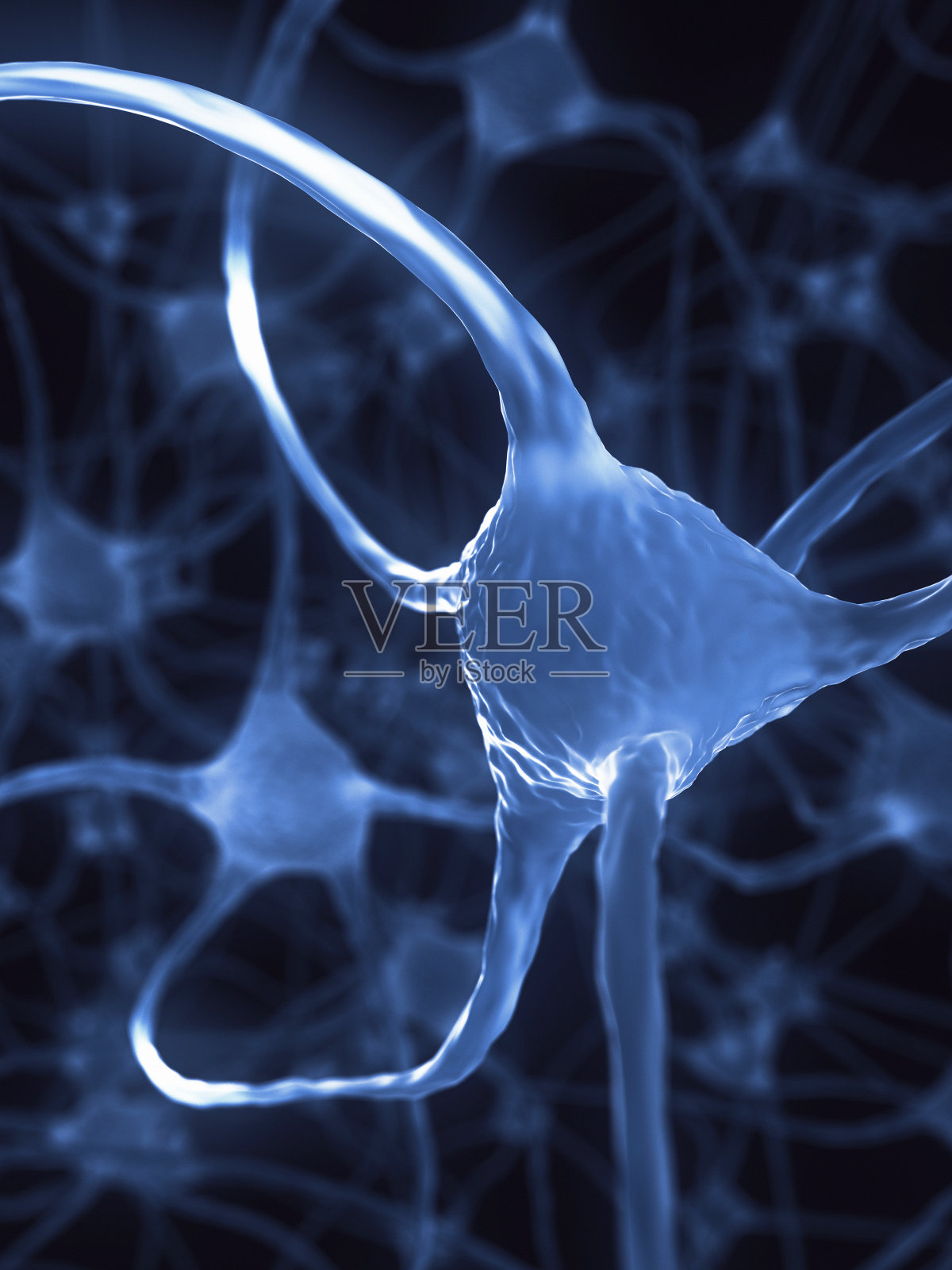 神经细胞XL +照片摄影图片