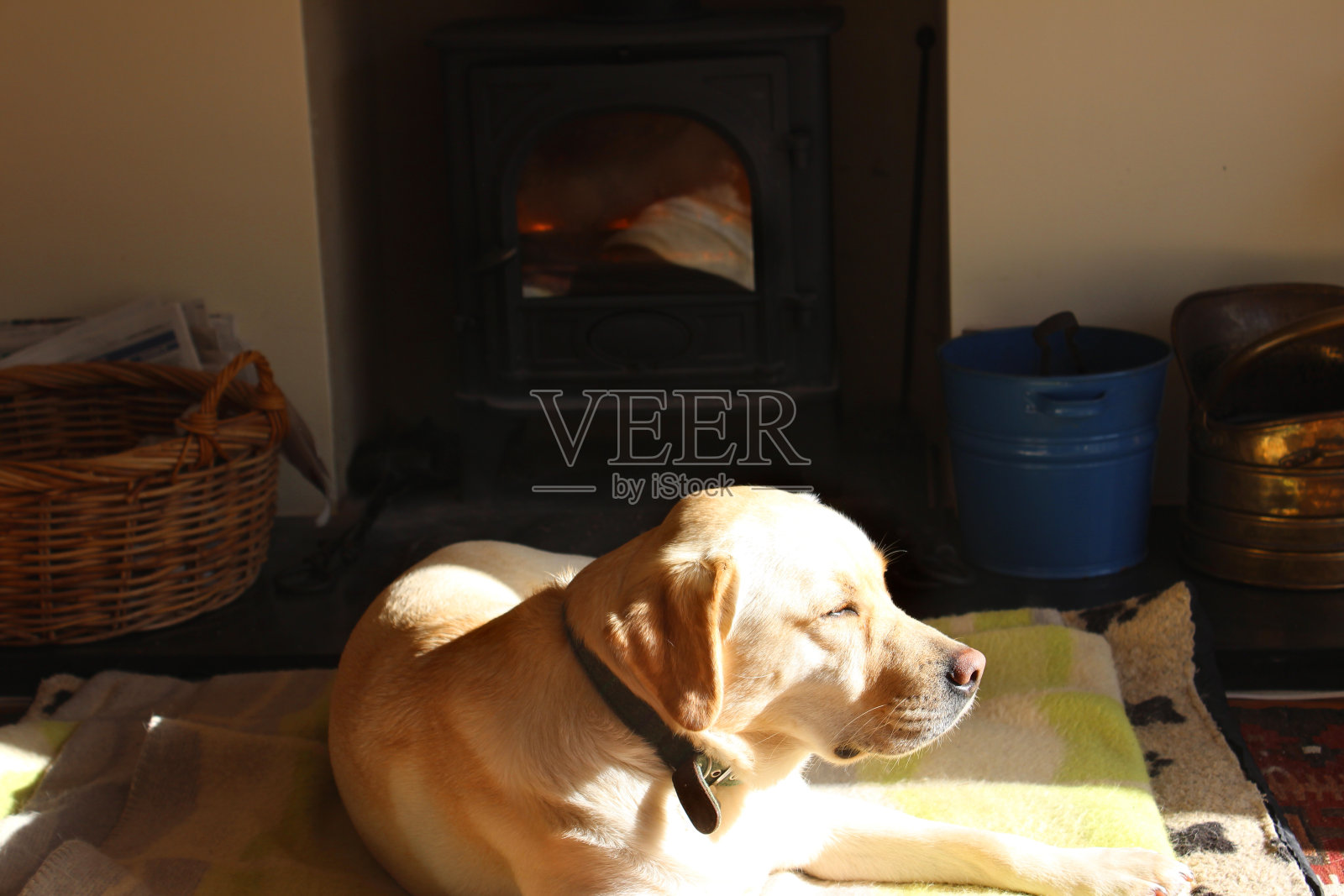 金色拉布拉多猎犬在壁炉前睡觉照片摄影图片