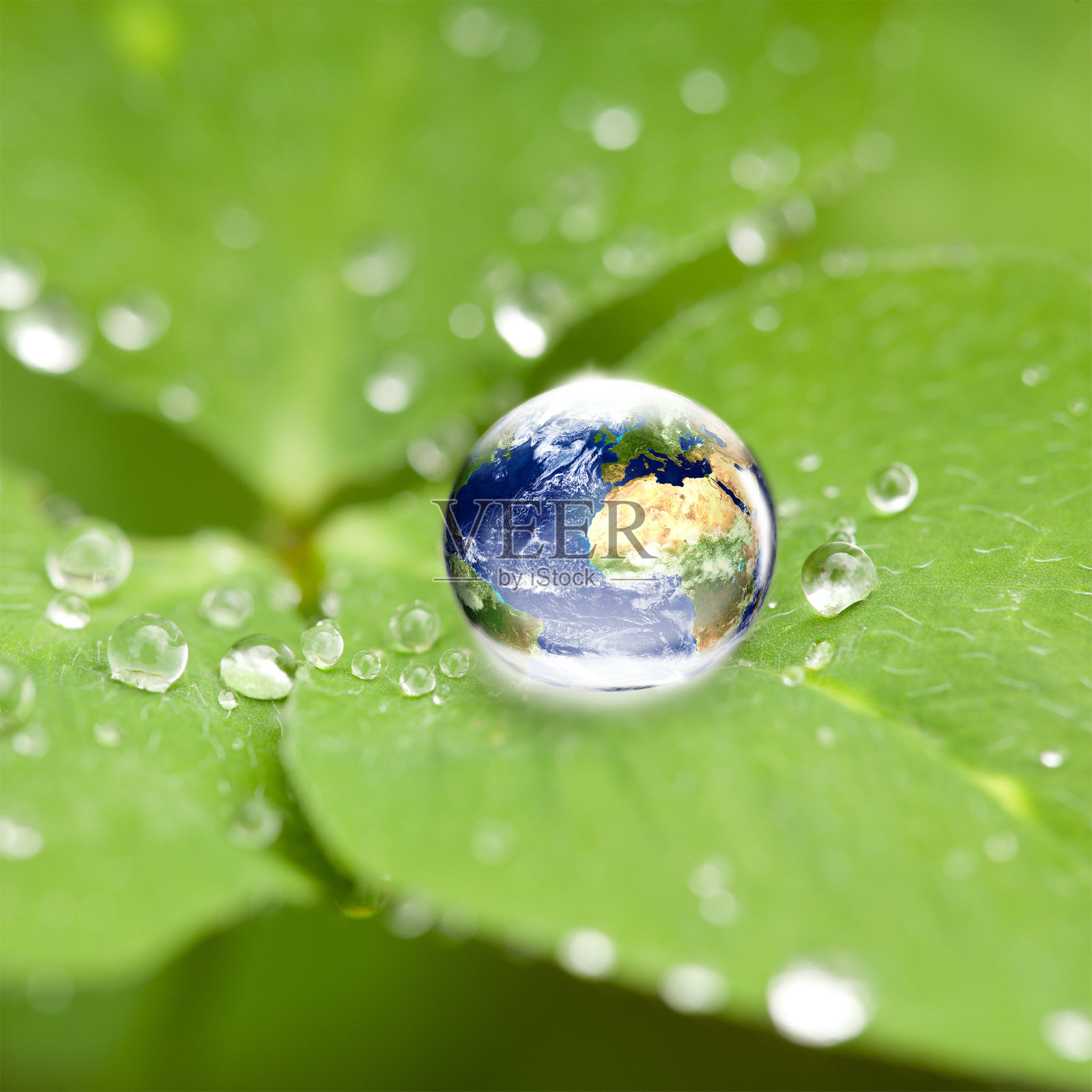 世界地球仪在水滴三叶草上照片摄影图片