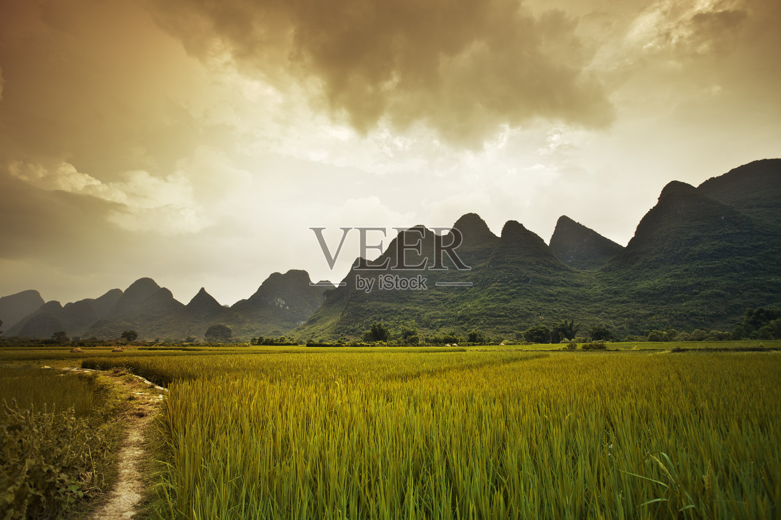 稻田和山脉照片摄影图片