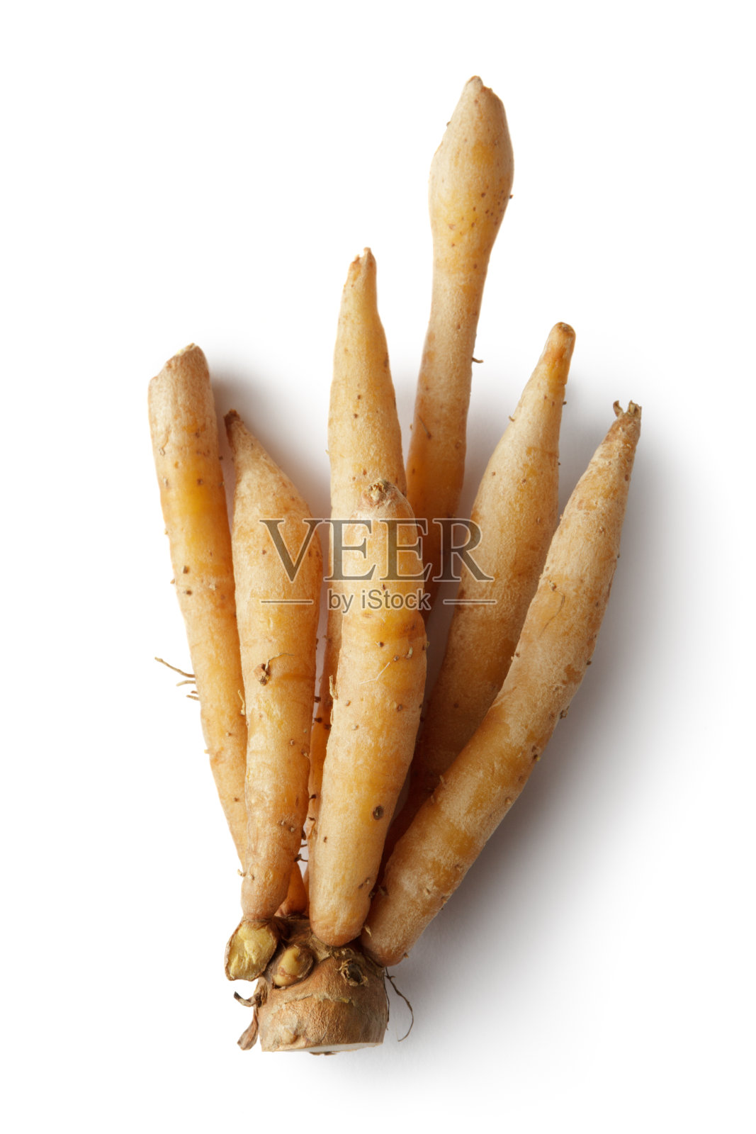 蔬菜:指根孤立在白色背景上照片摄影图片