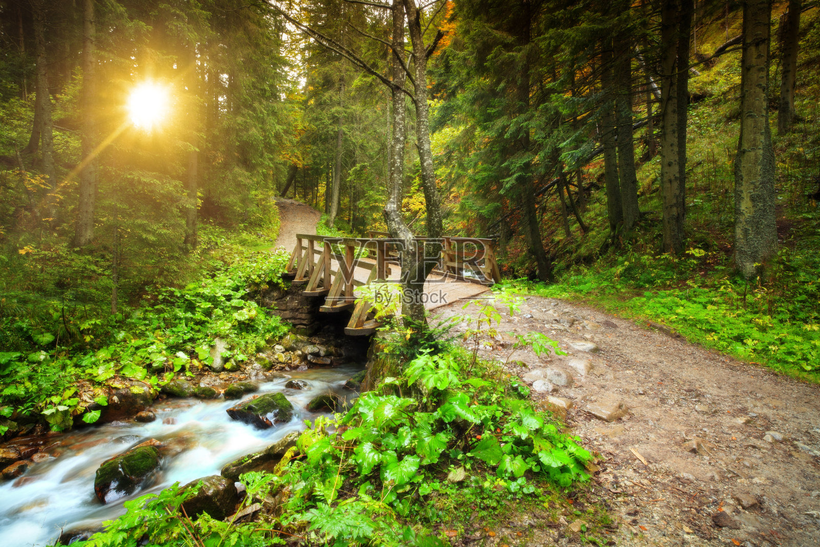 小溪在山区森林期间日落-动态模糊照片摄影图片