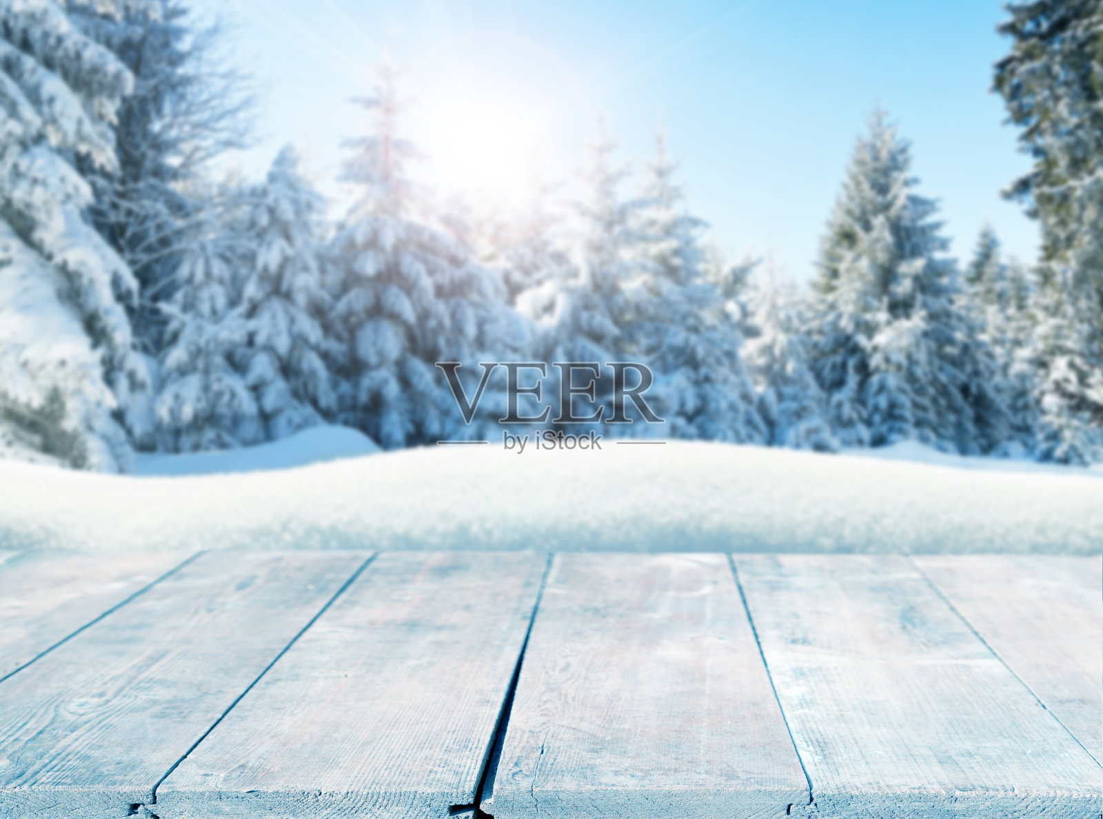 冬天的背景与白雪覆盖的松树后面空荡荡的木板照片摄影图片