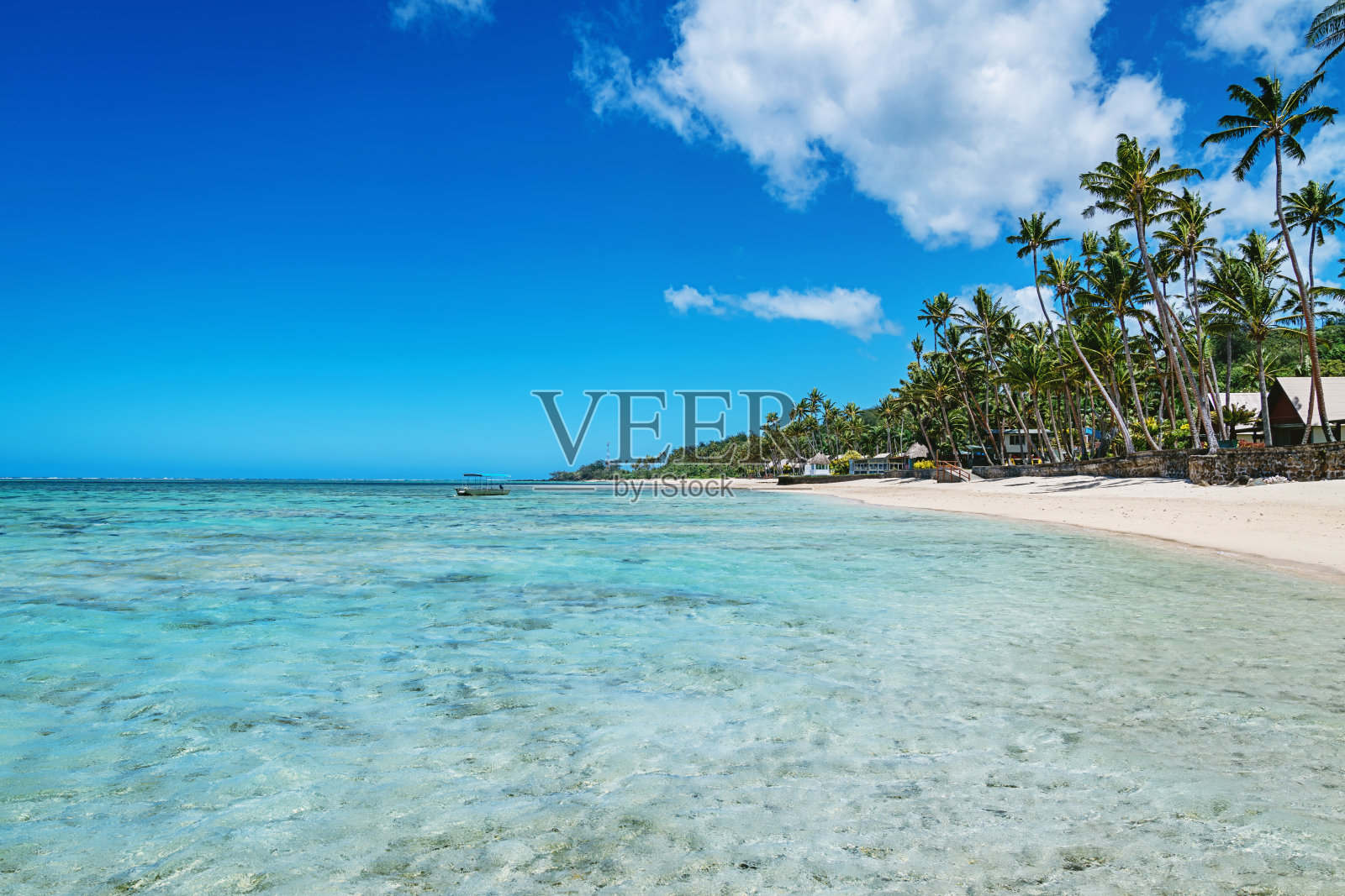美丽的自然海滩斐济岛照片摄影图片