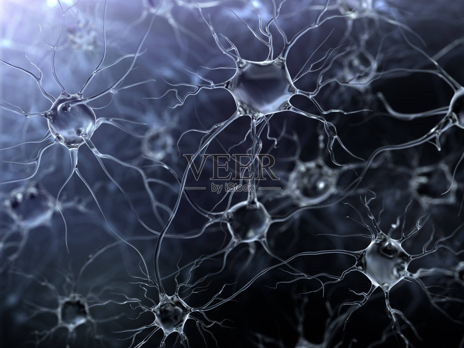 神经元照片摄影图片