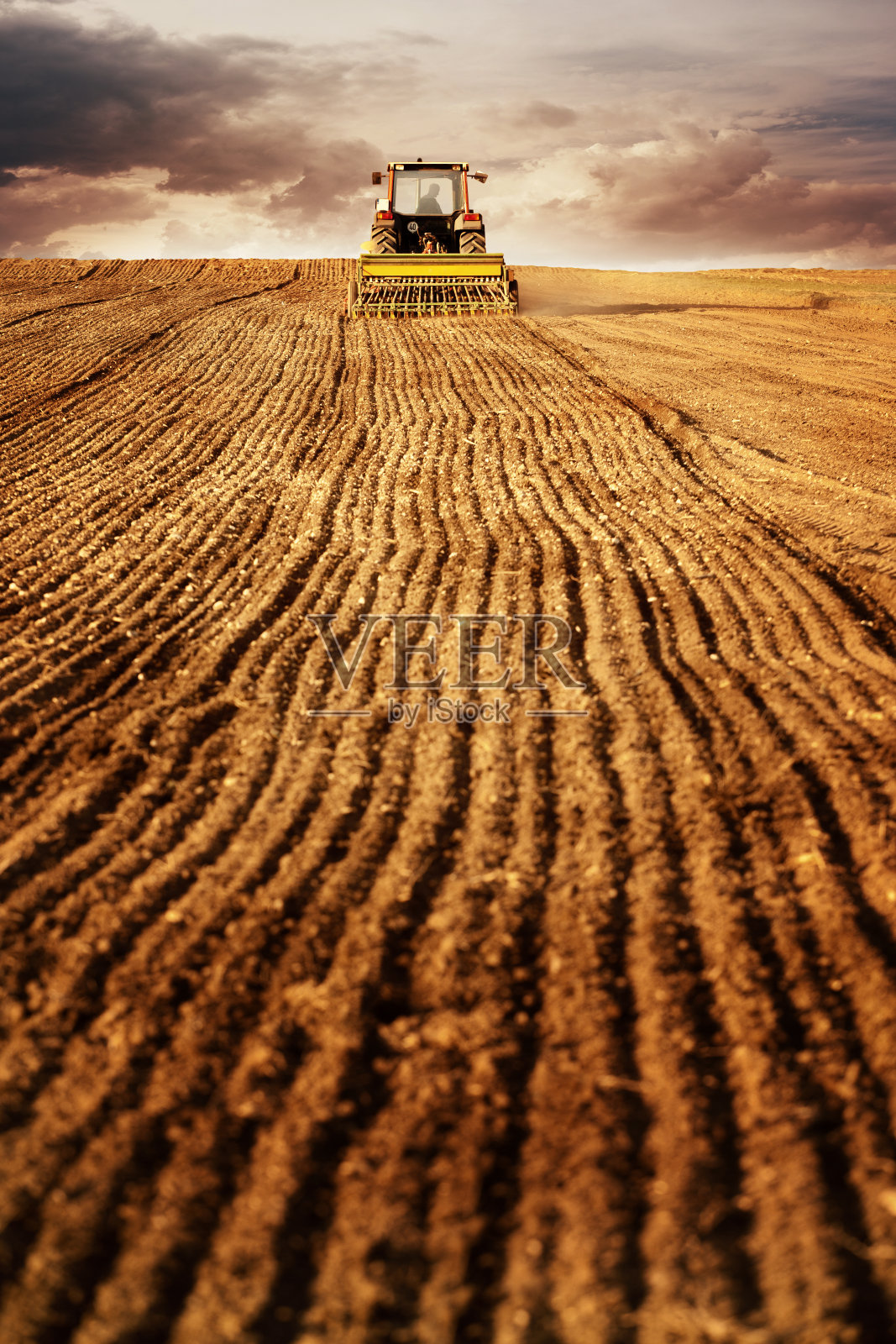 用拖拉机在玉米地里翻耕播种照片摄影图片