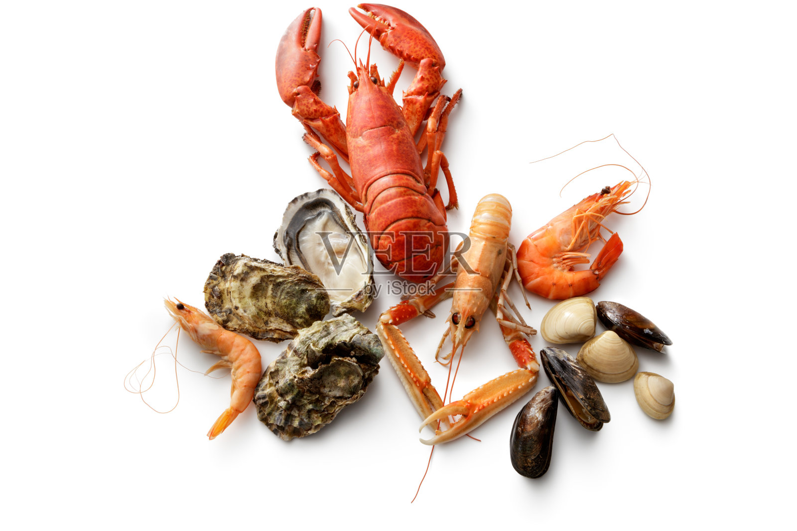 海鲜:龙虾，海螯虾，虾，牡蛎，贻贝和白蛤照片摄影图片