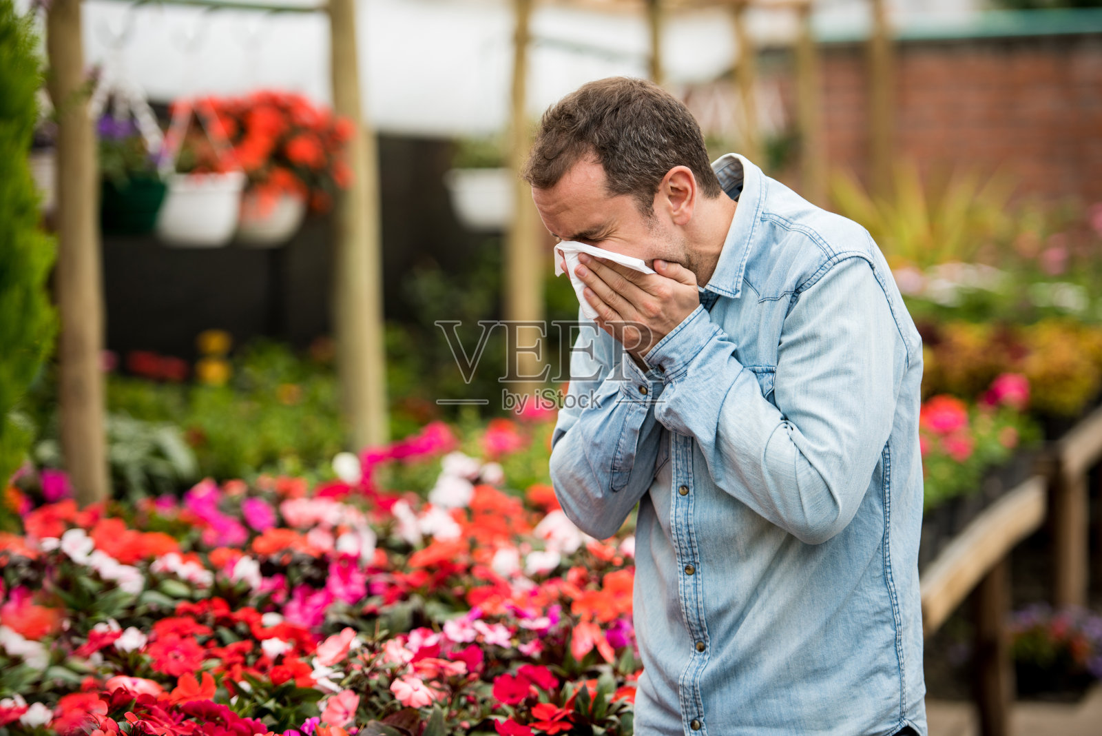 一个在温室里患花粉热的人照片摄影图片