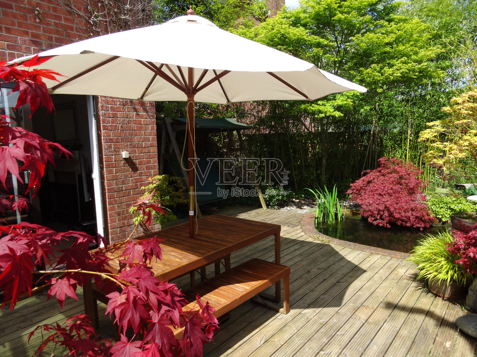 用桌子、长凳、奶油色阳伞和红枫装饰花园的形象照片摄影图片
