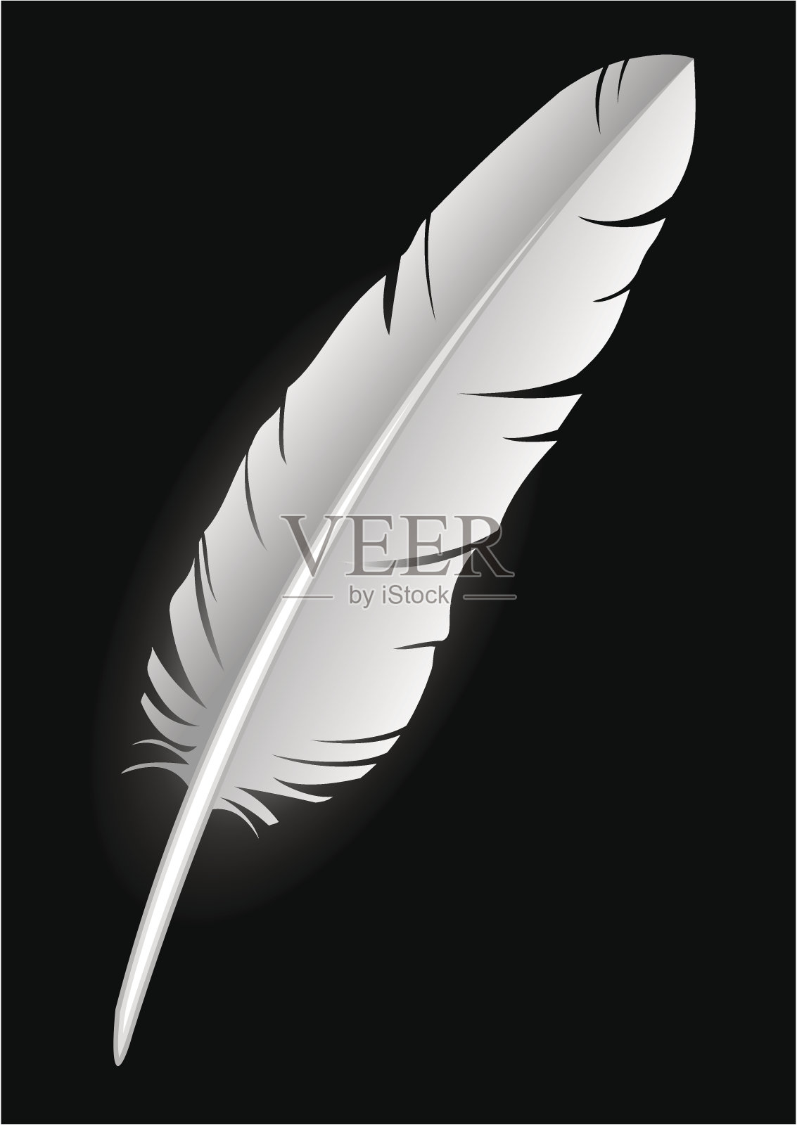 羽毛——黑色上的白色(矢量)插画图片素材