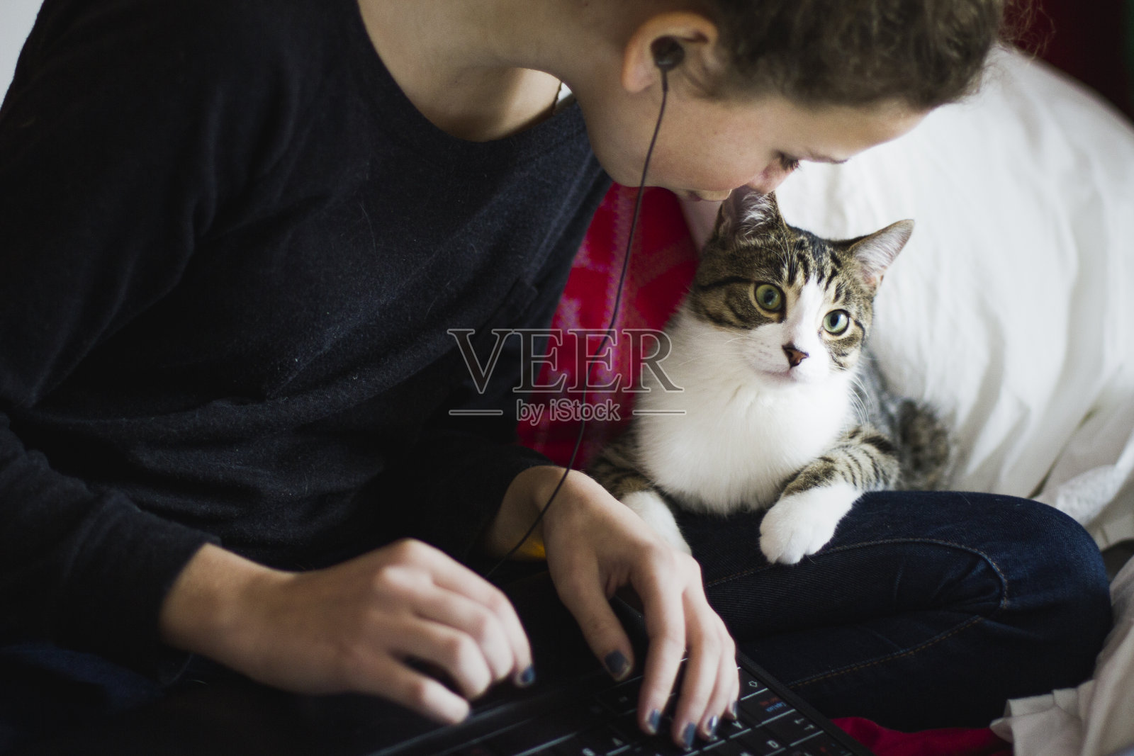一个十岁的女孩在用笔记本电脑，旁边有一只猫照片摄影图片