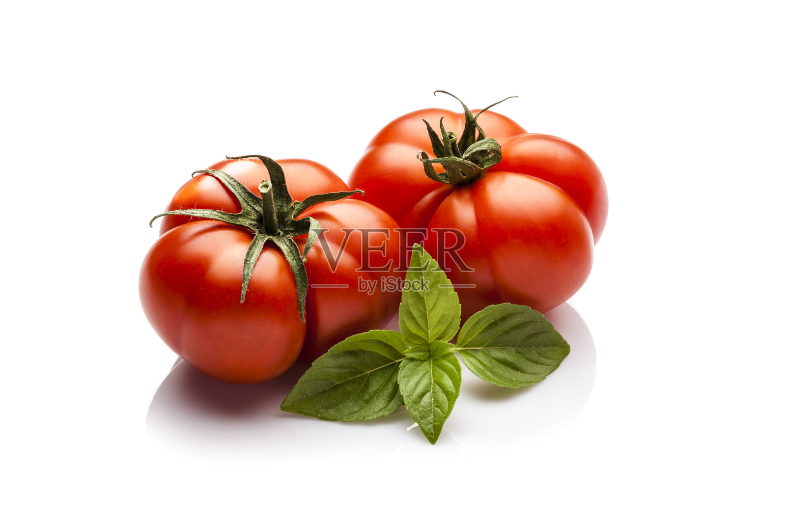 白色背景上的祖传番茄和罗勒嫩枝照片摄影图片