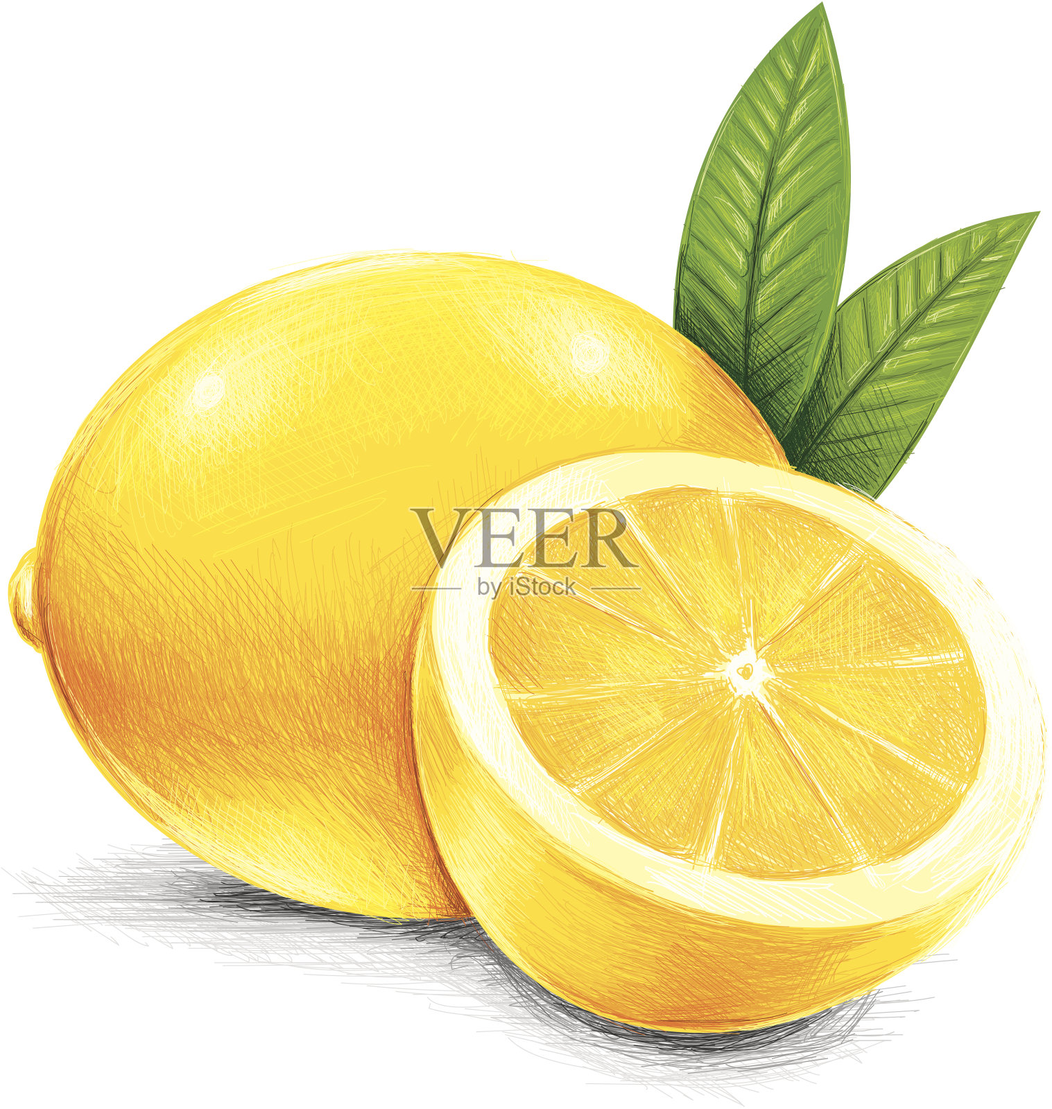 粗略的黄色的柠檬插画图片素材
