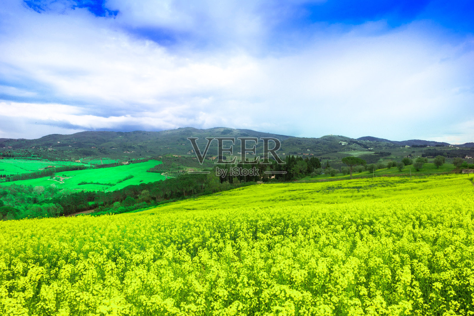 托斯卡纳的黄色田野，色彩鲜艳照片摄影图片