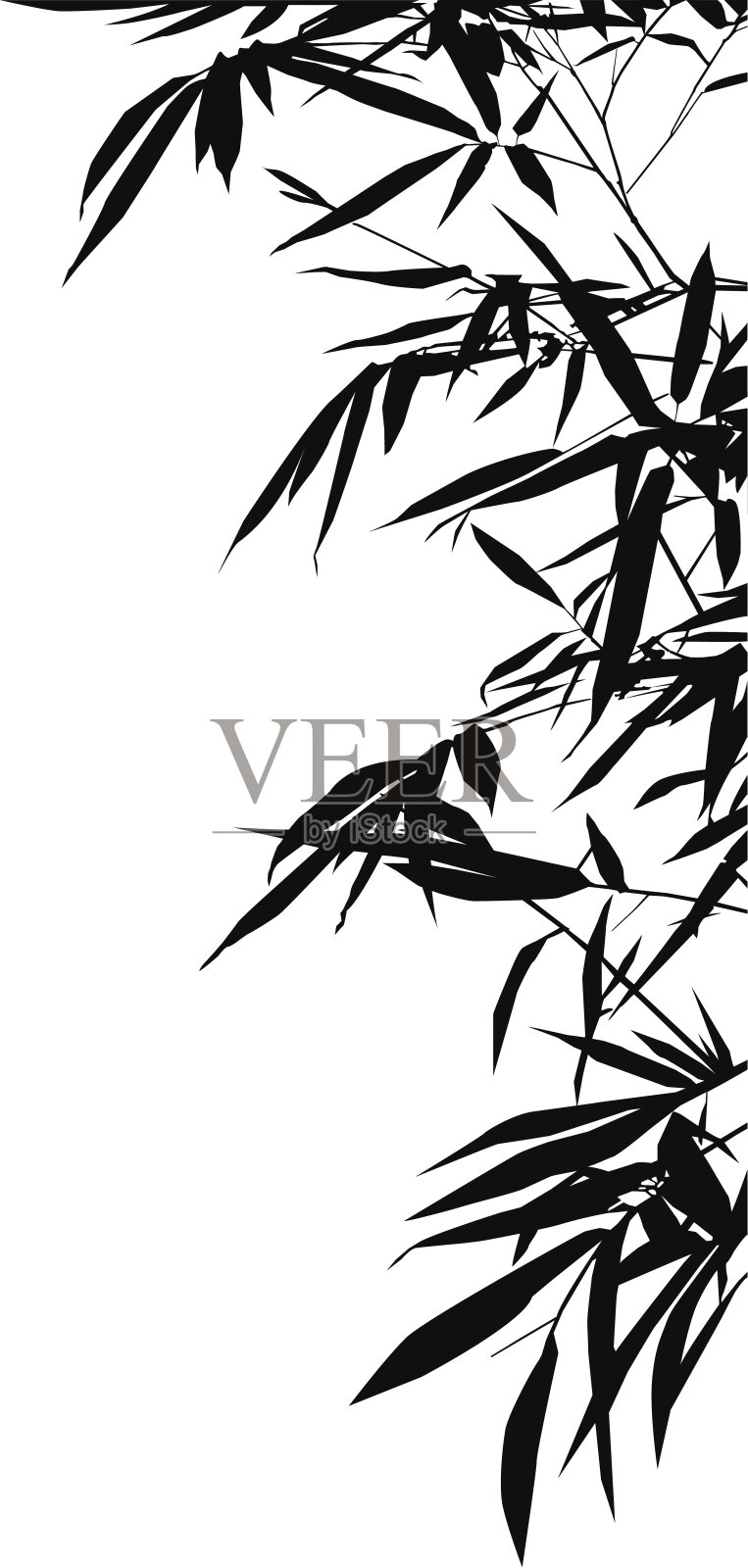 竹树叶插画图片素材