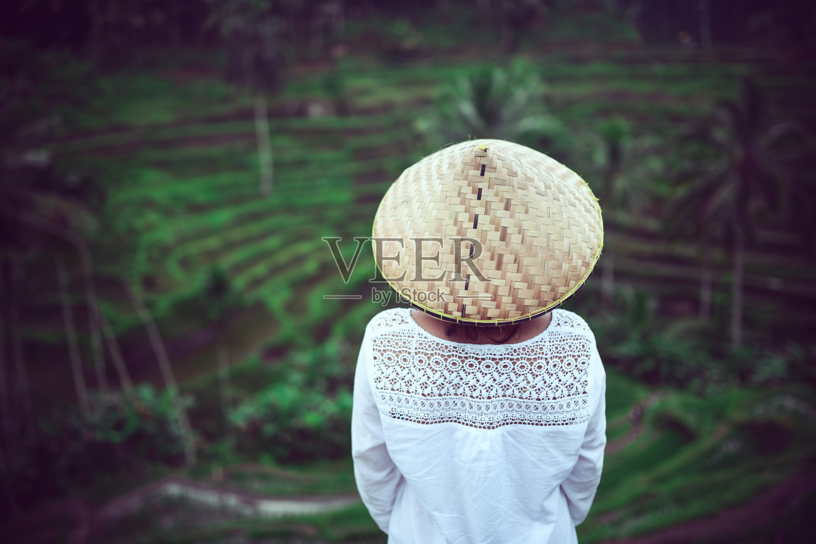 亚洲女性与传统草帽看稻田照片摄影图片