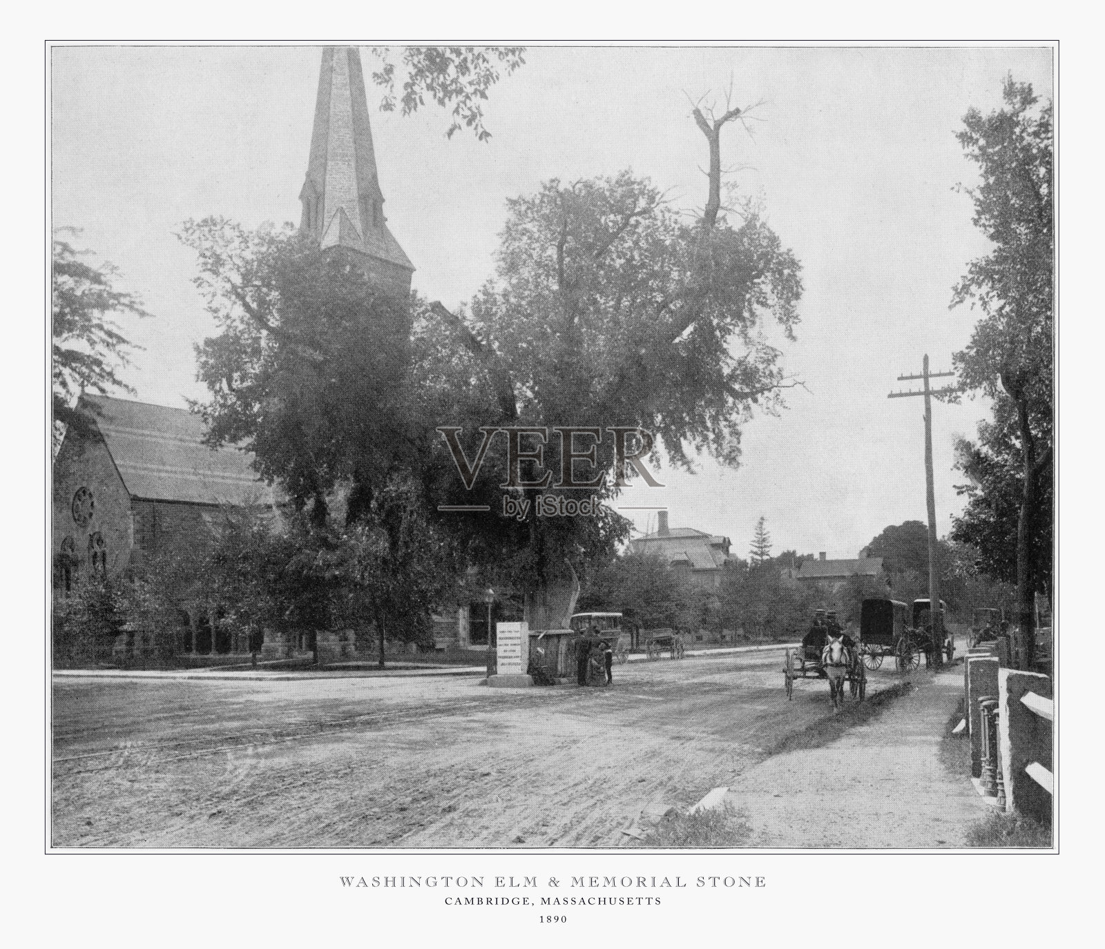 美国古董摄影:华盛顿榆树和纪念石，剑桥，马萨诸塞州，美国，1893照片摄影图片