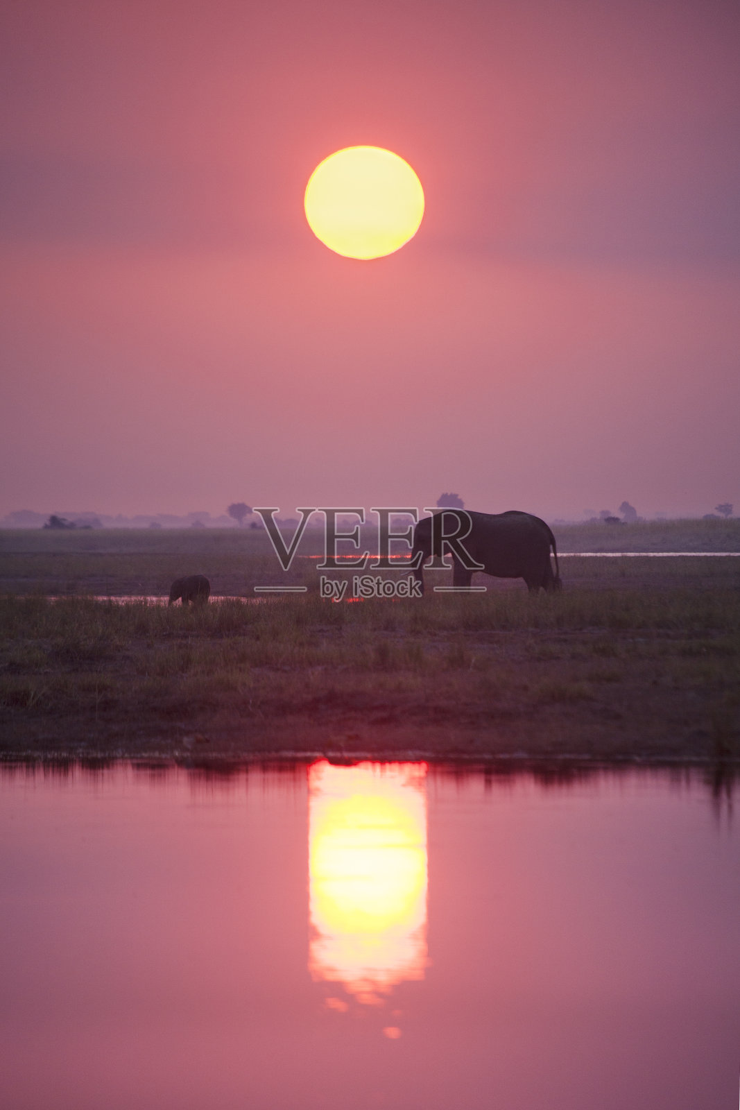 大象在日落时分照片摄影图片
