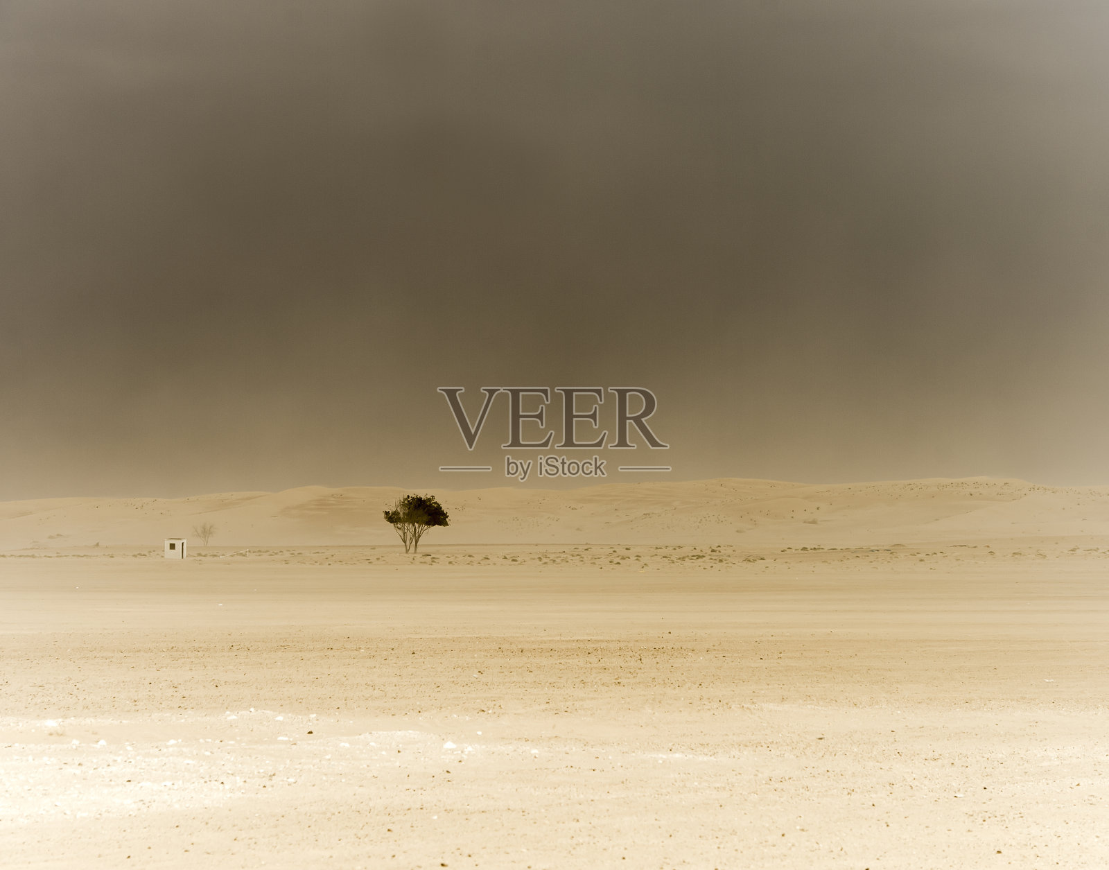 沙尘暴期间美丽的沙漠景观照片摄影图片