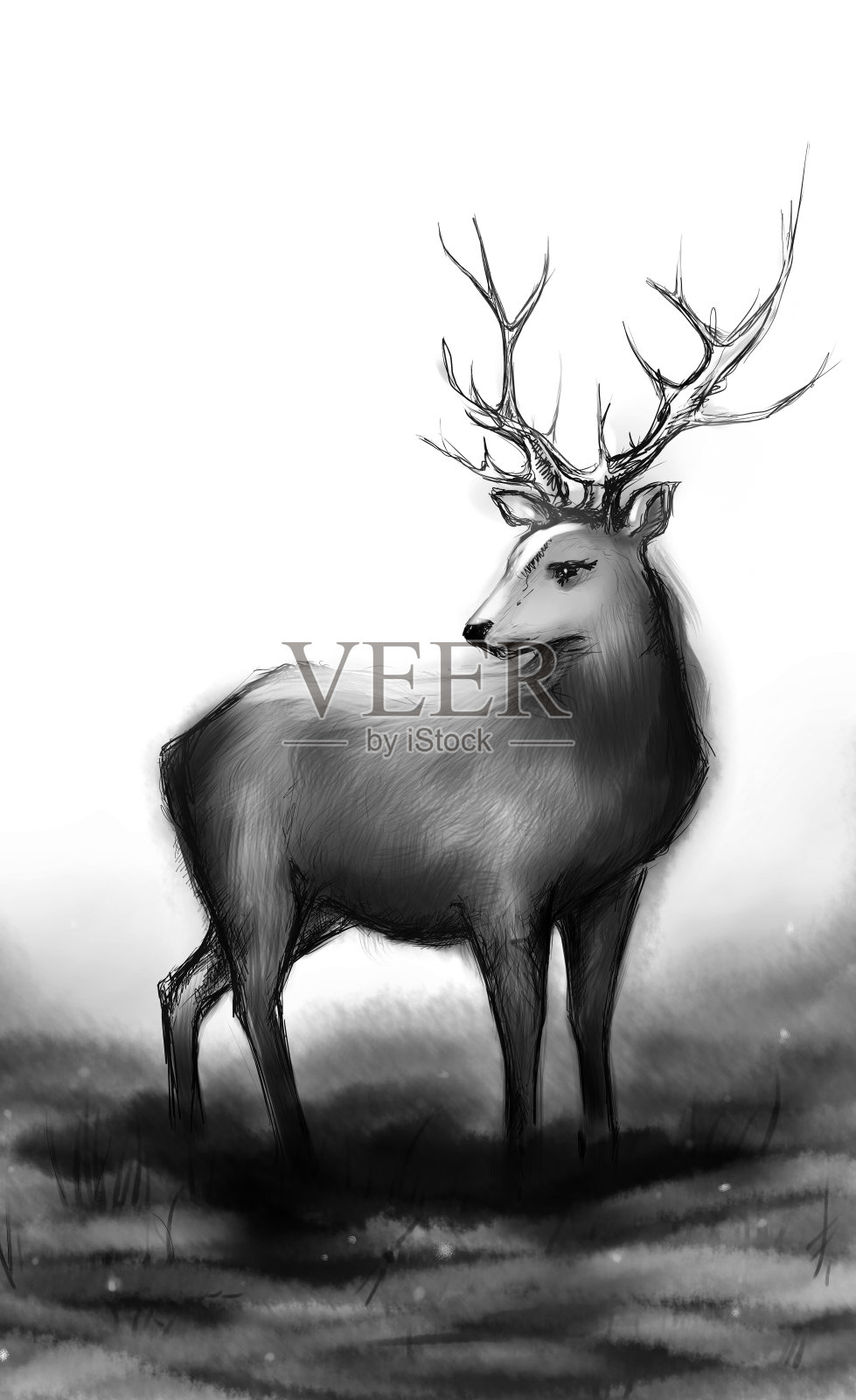 冬季雪森林单色鹿与大角插画图片素材